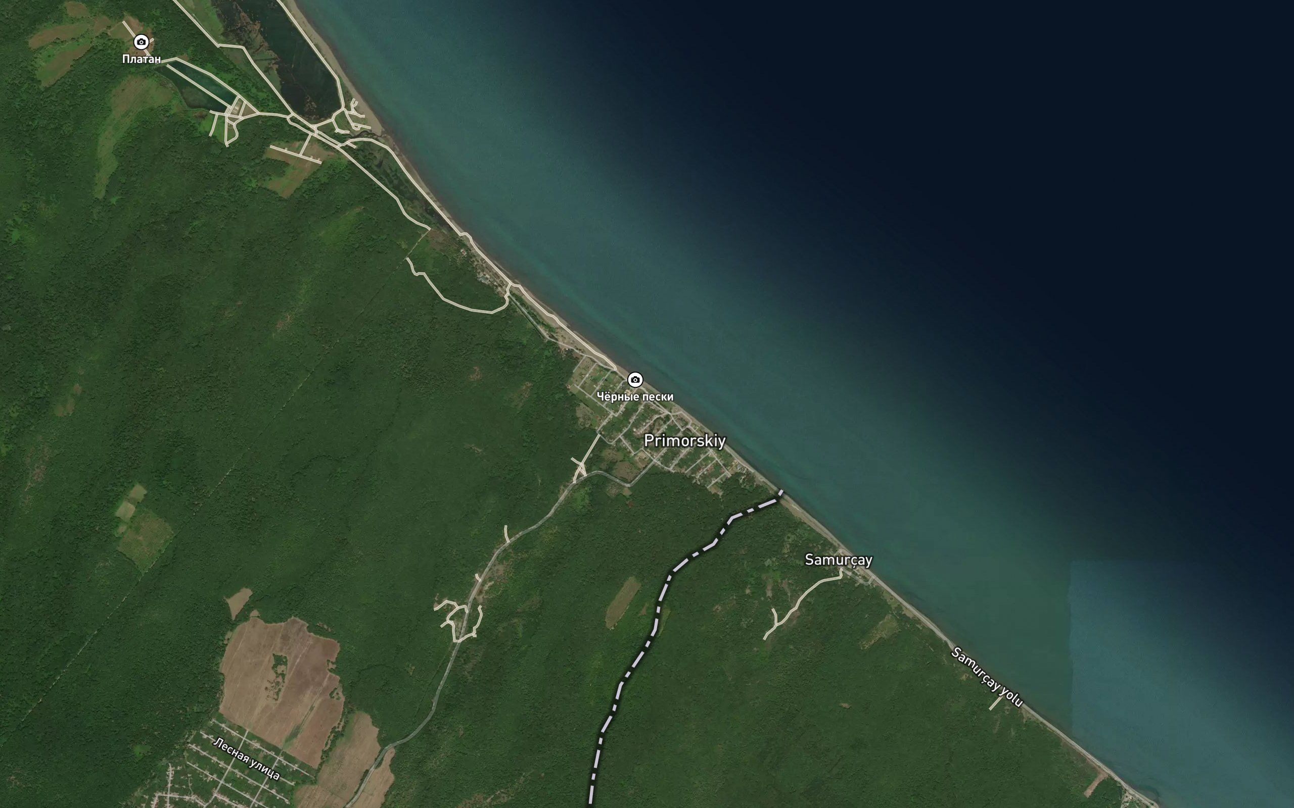 Yaloma
