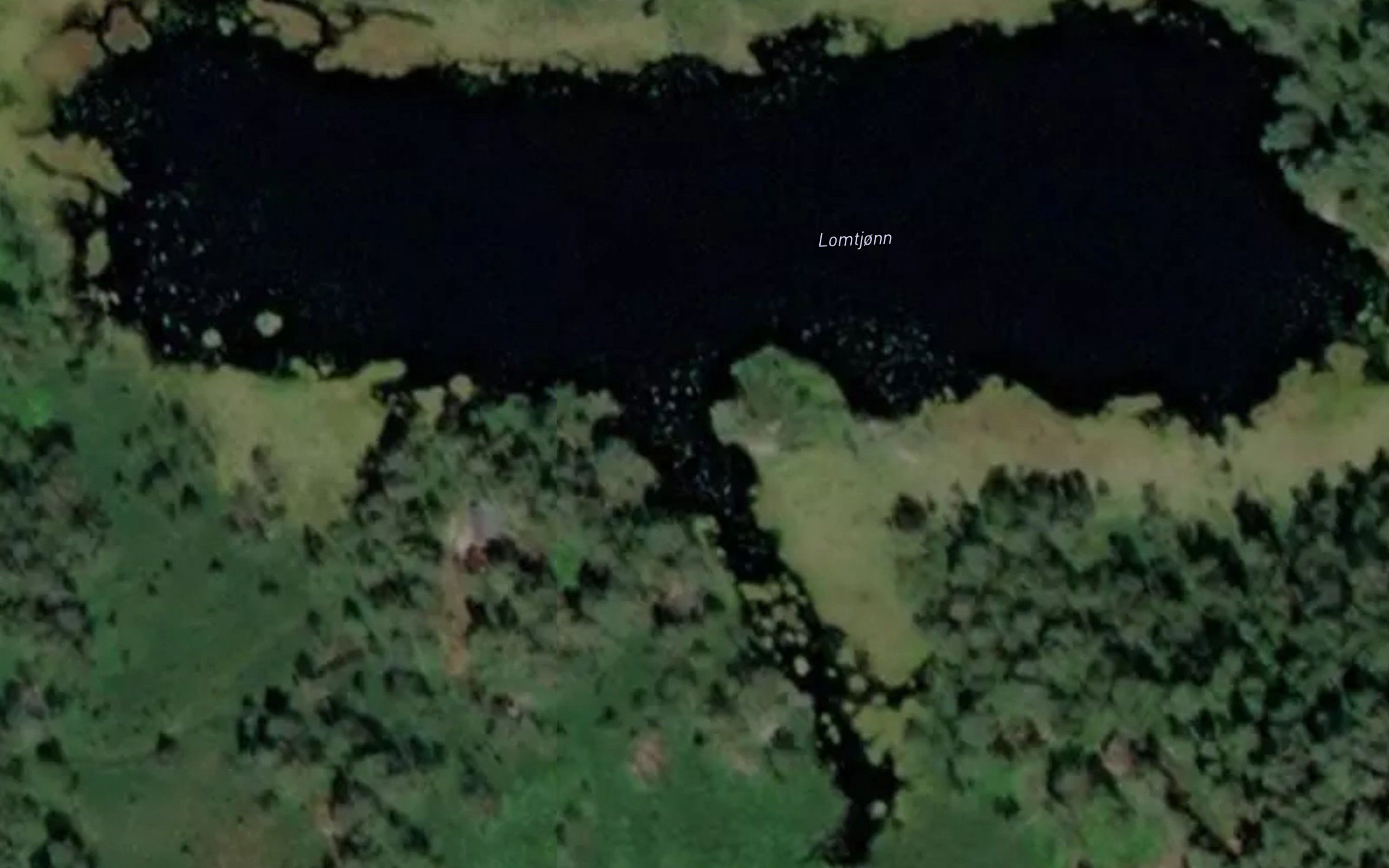 Lomtjonn