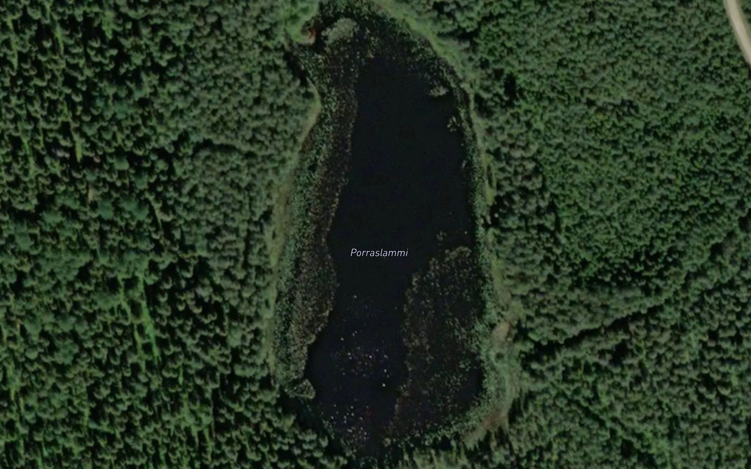 Porraslammi