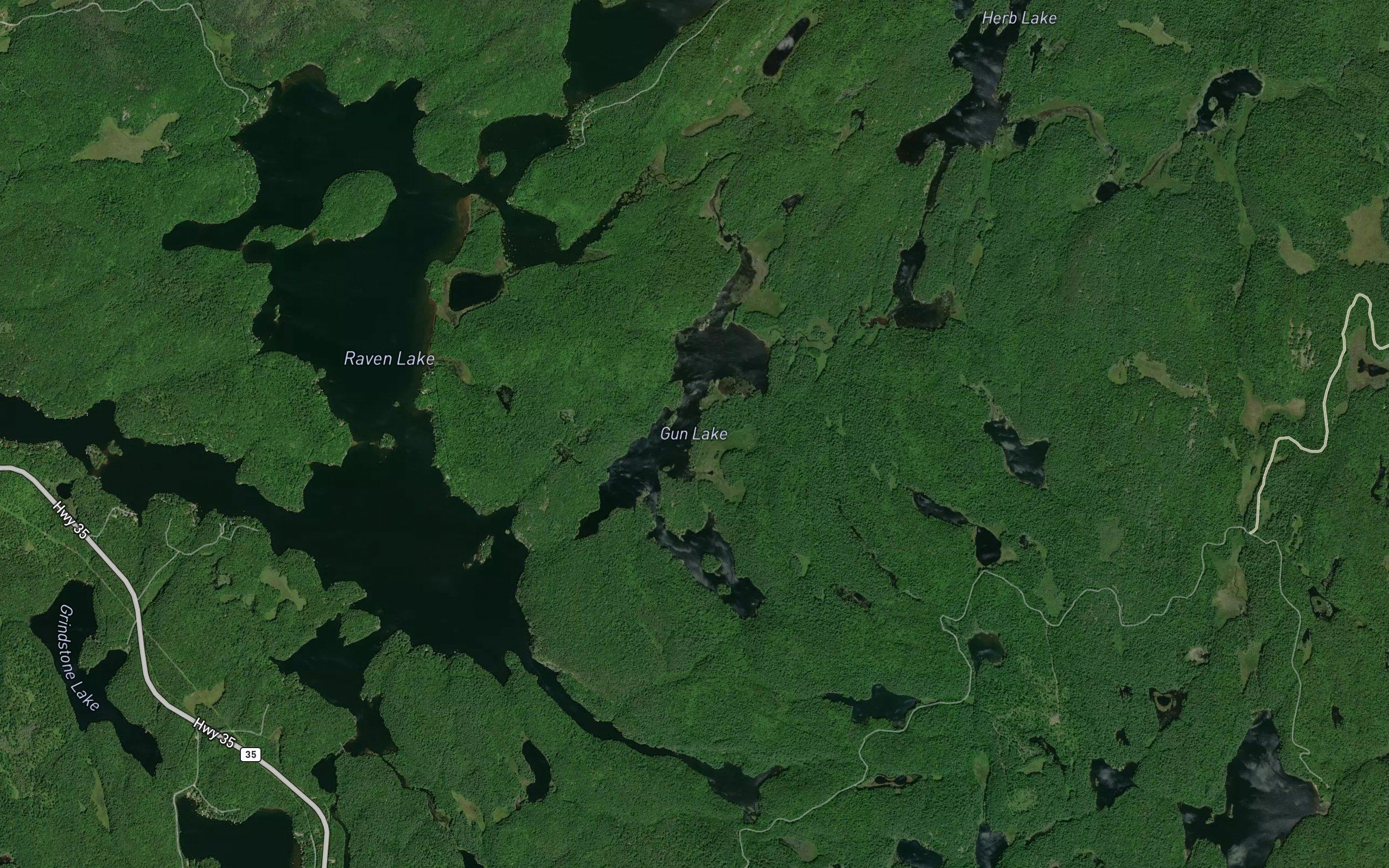 Gun Lake