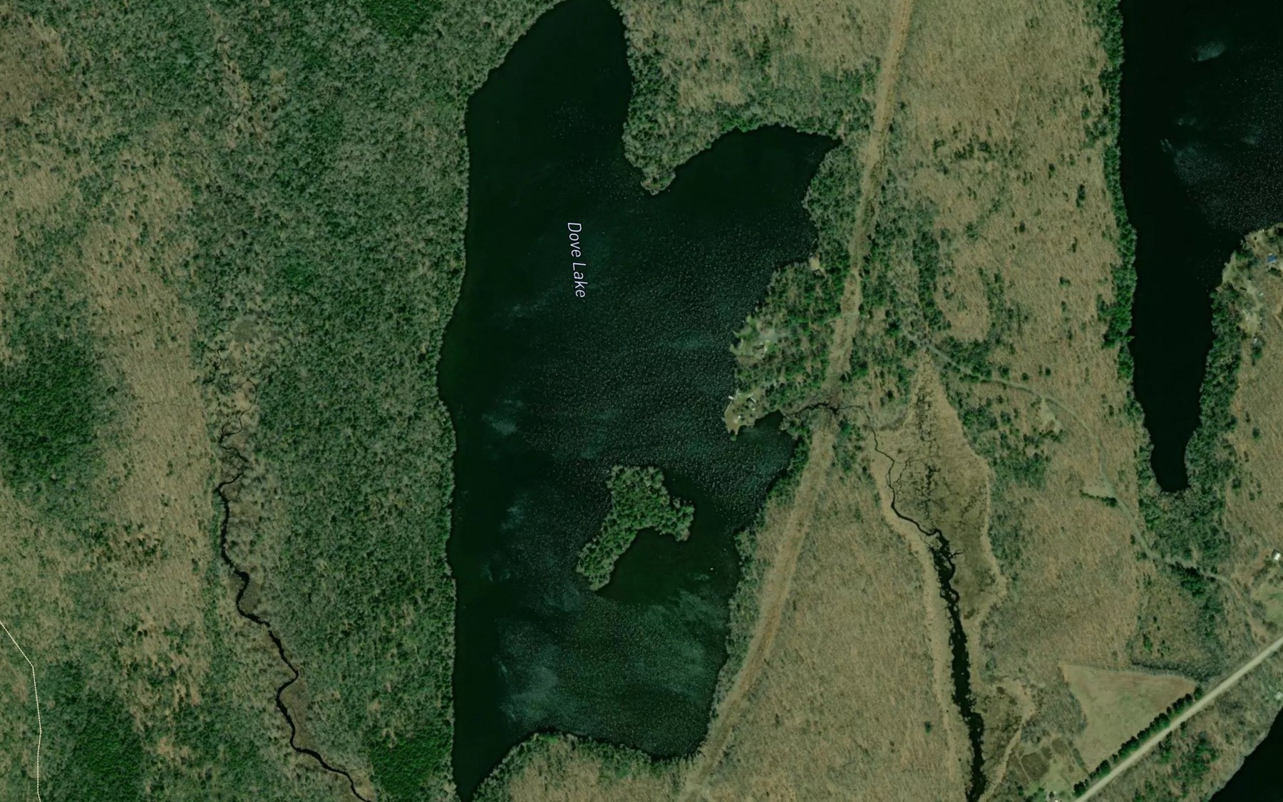 Satellite map of the Dove Lake