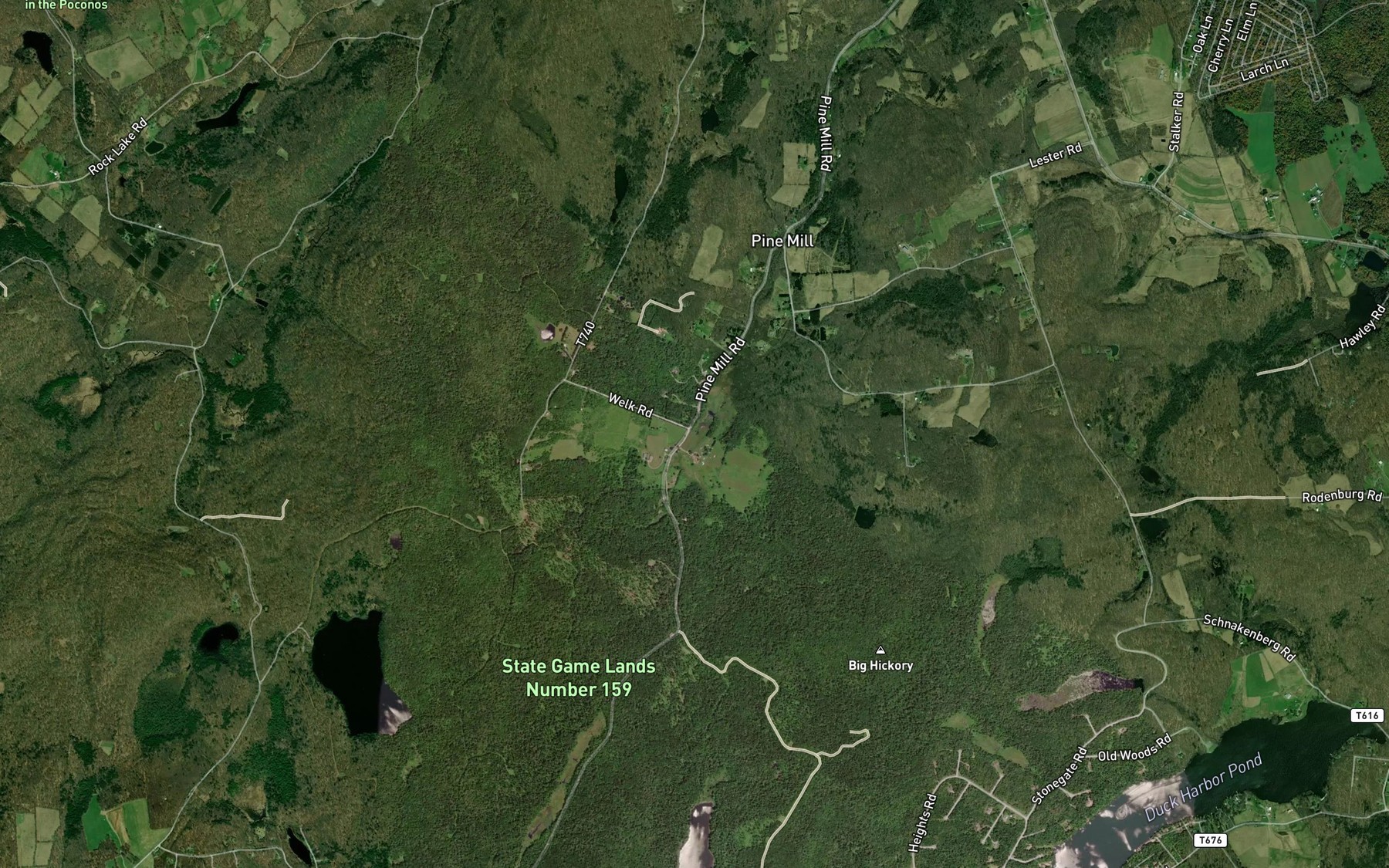 Satellite map of the South Branch Equinunk Creek