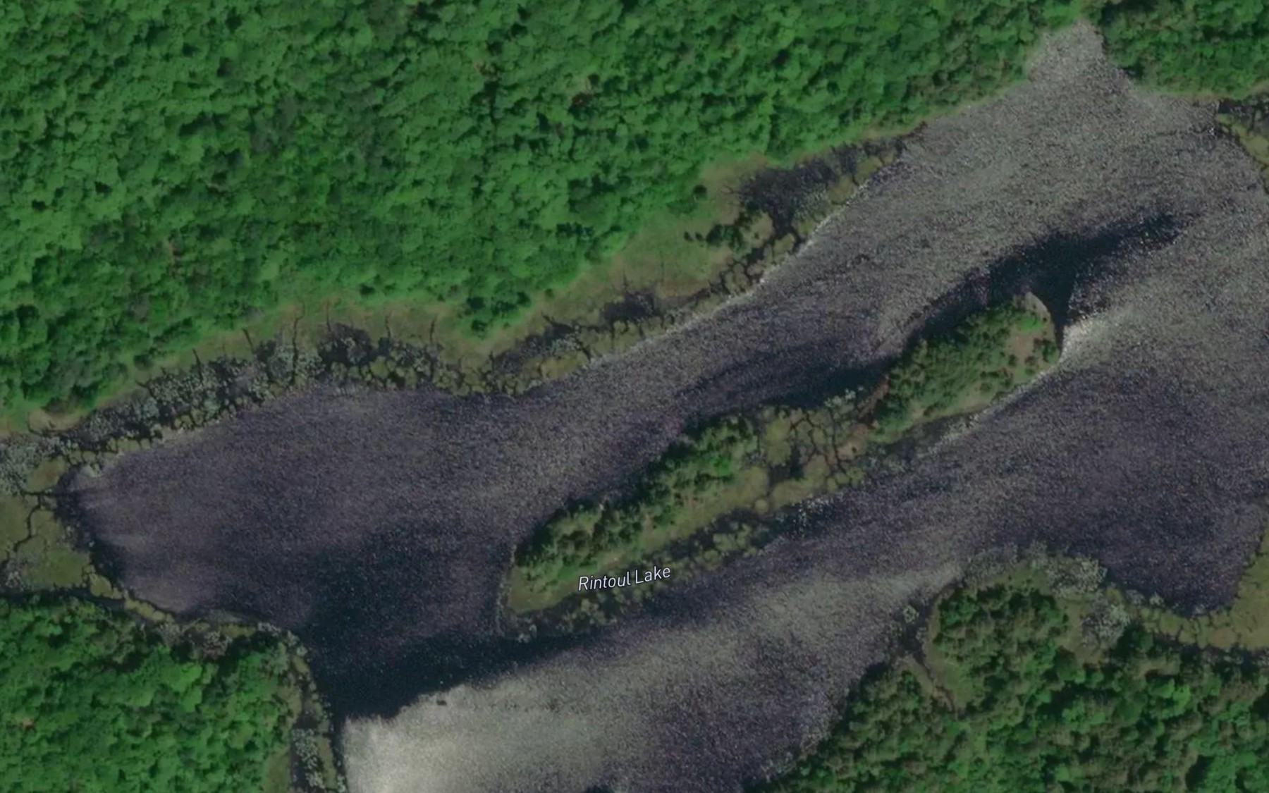 Satellite map of the Rintoul Lake