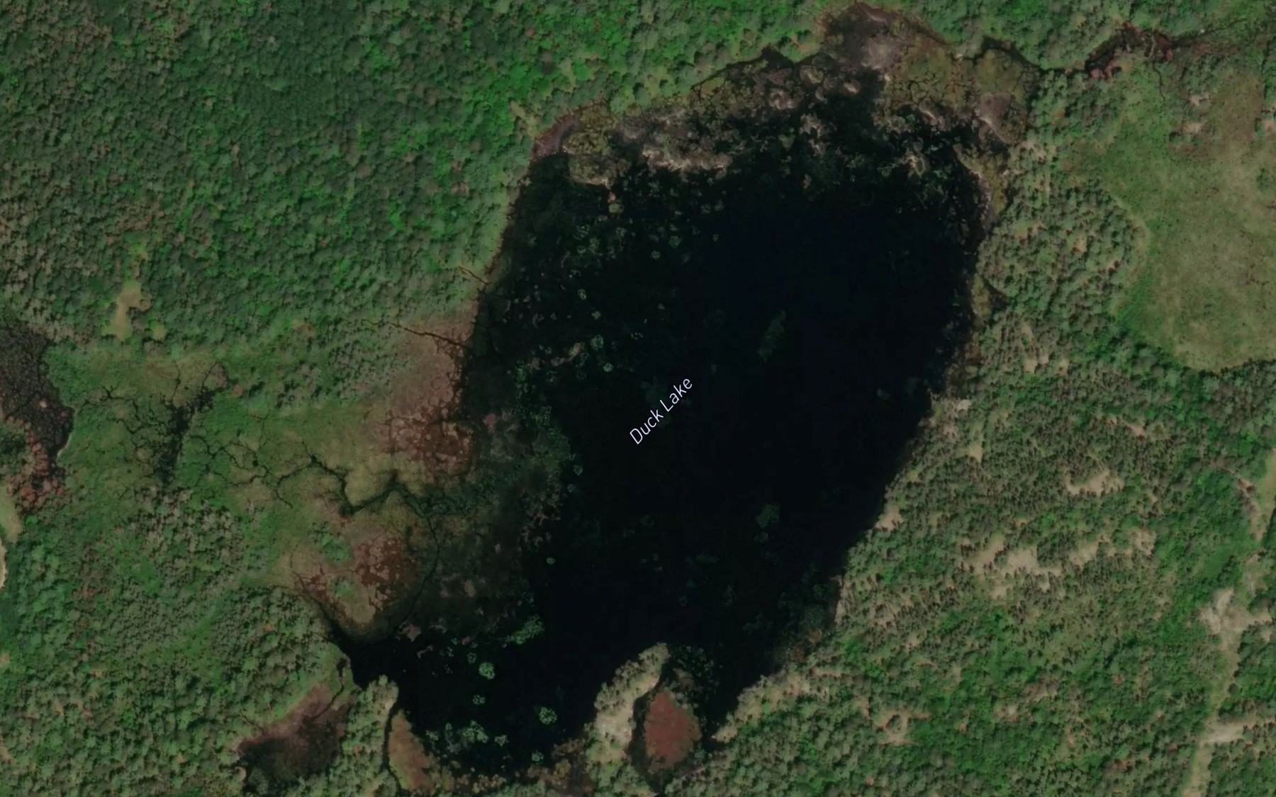 Satellite map of the Duck Lake