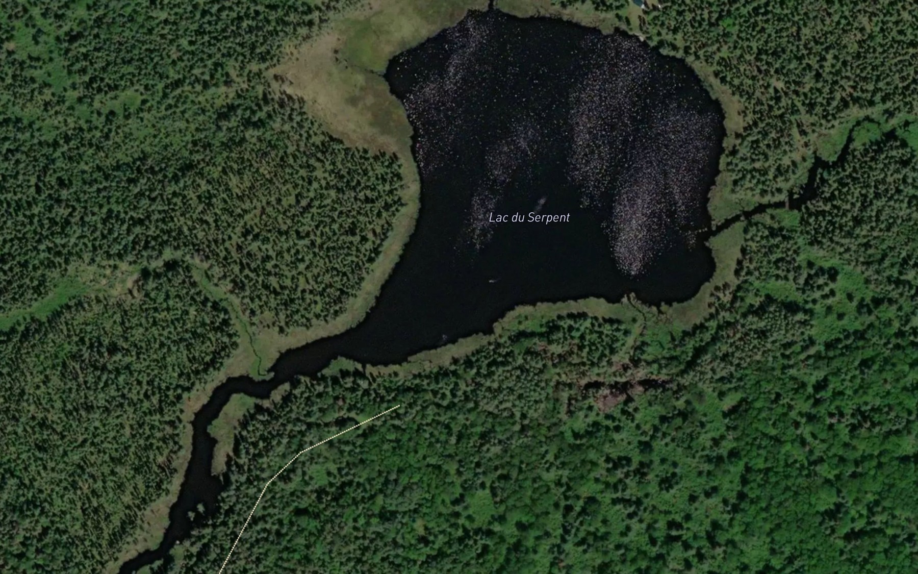 Satellite map of the Lac du Serpent