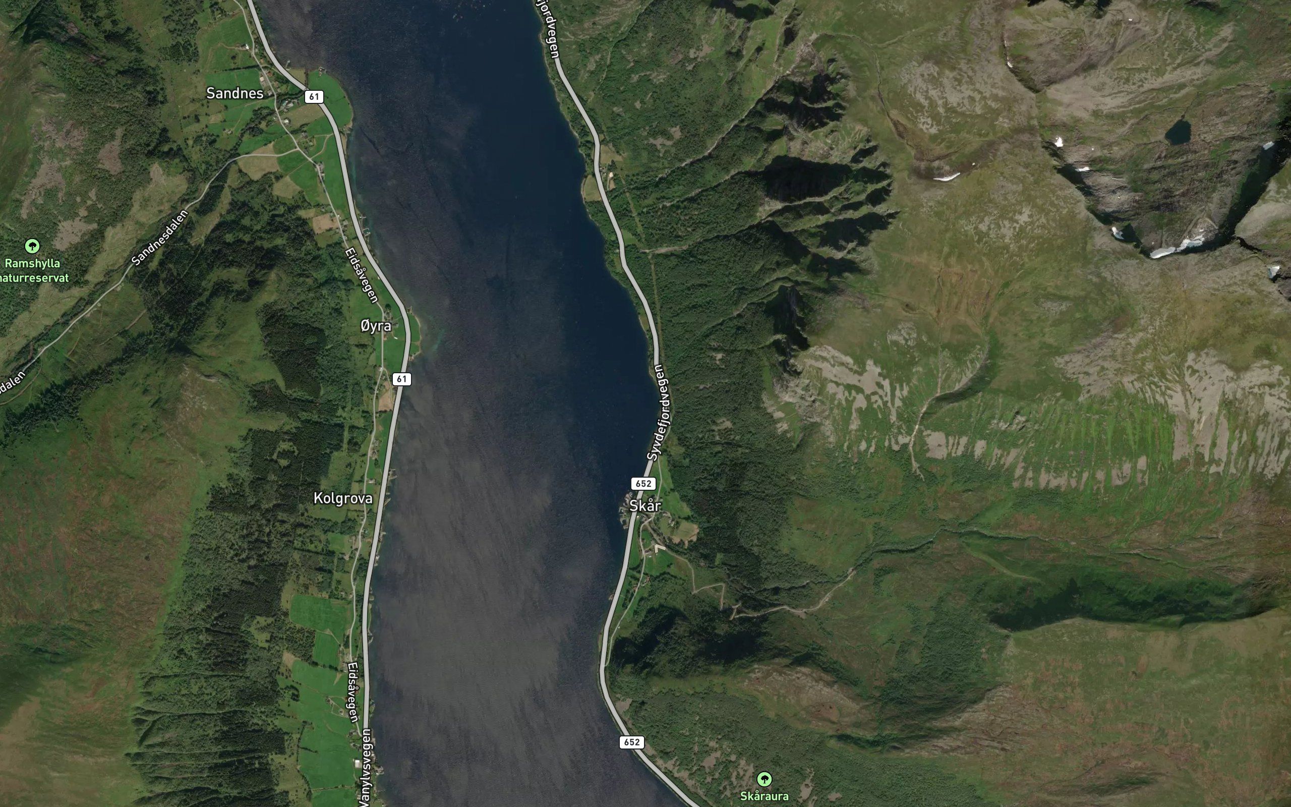 Skoravika