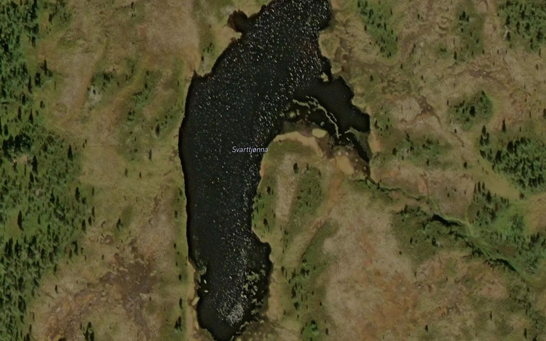 Satellite map of the Svarttjorna