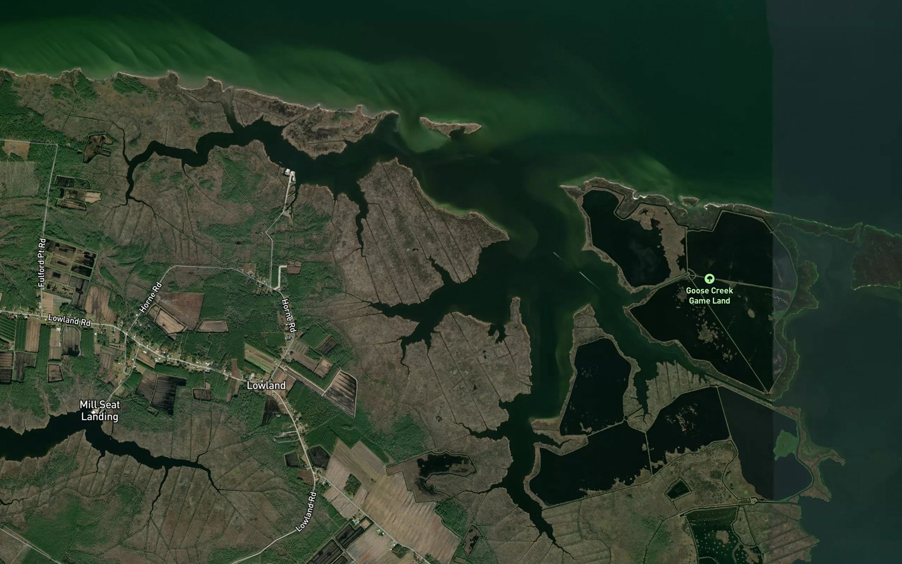 Satellite map of the Horse Island Creek