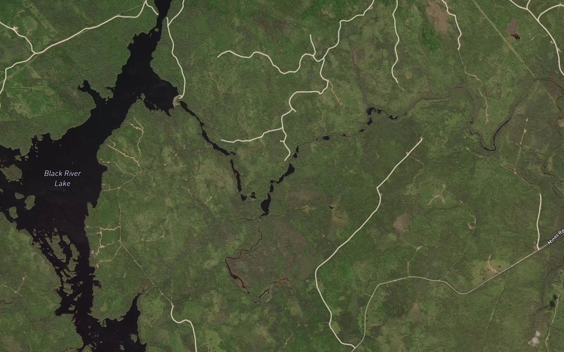 Satellite map of the Big Bend