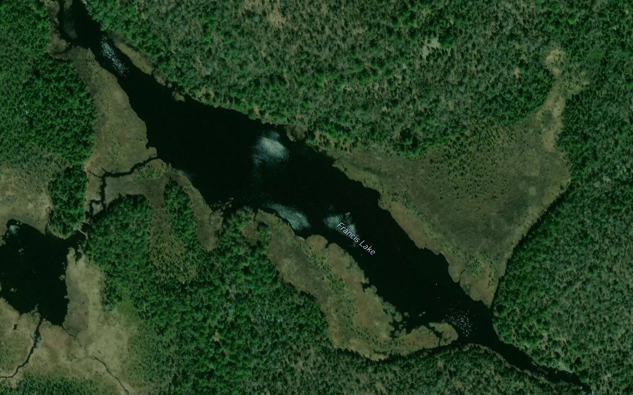 Francis Lake