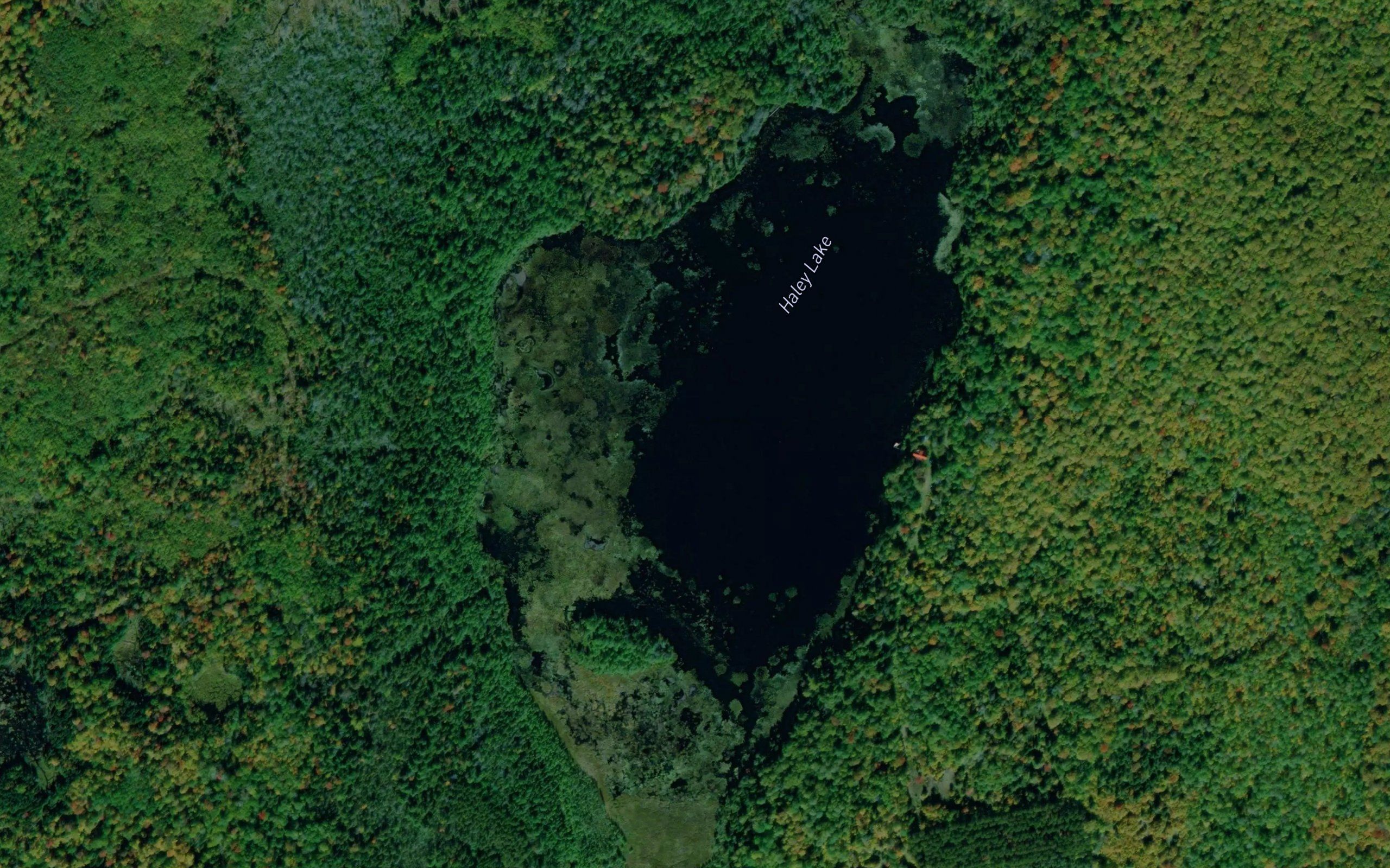 Haley Lake