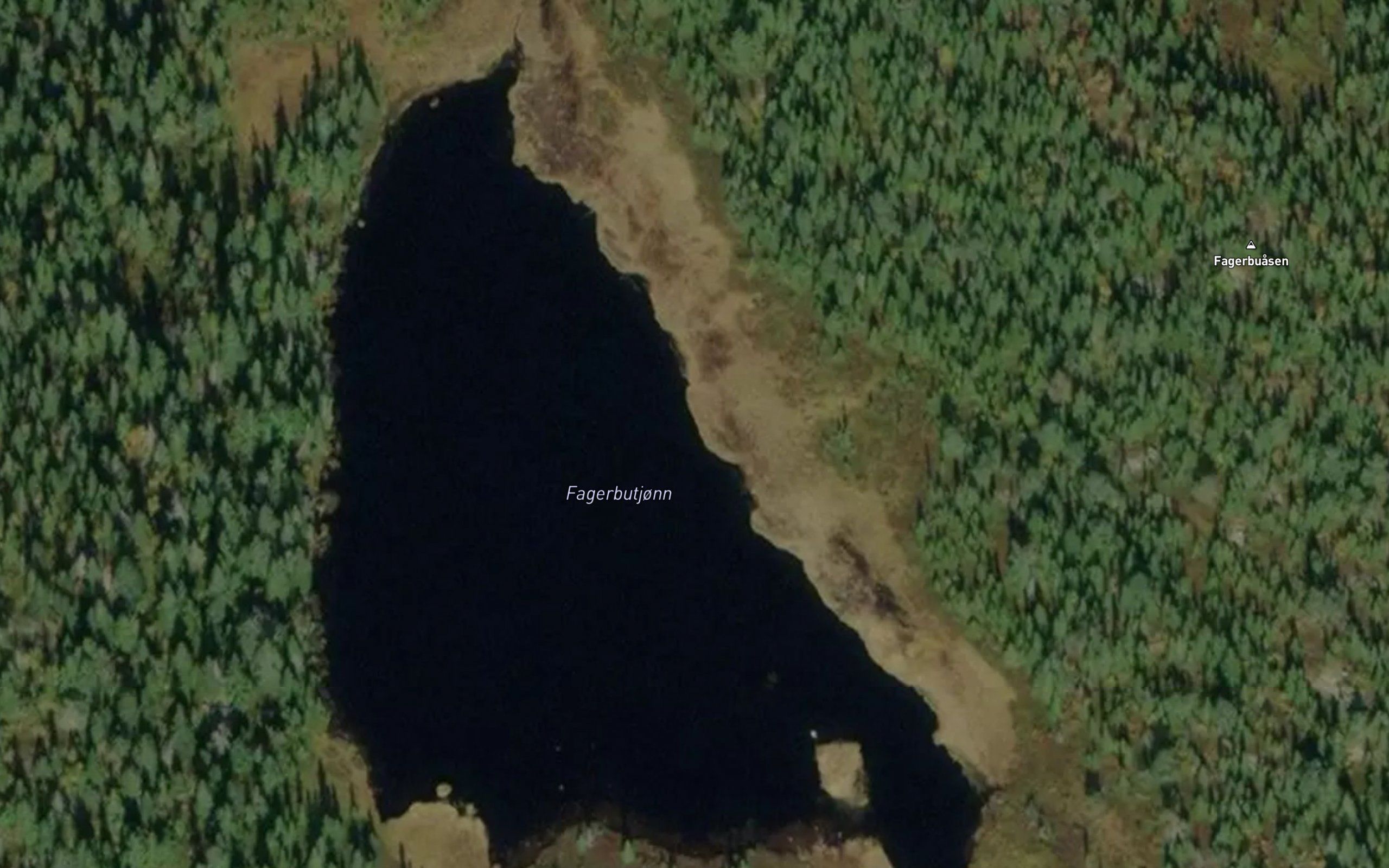 Fagerbutjorn