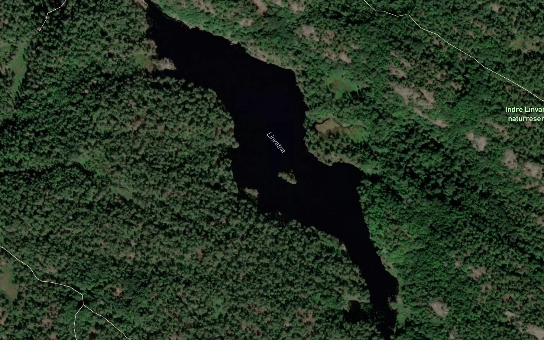 Satellite map of the Linvatna