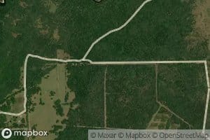 Jackson Creek