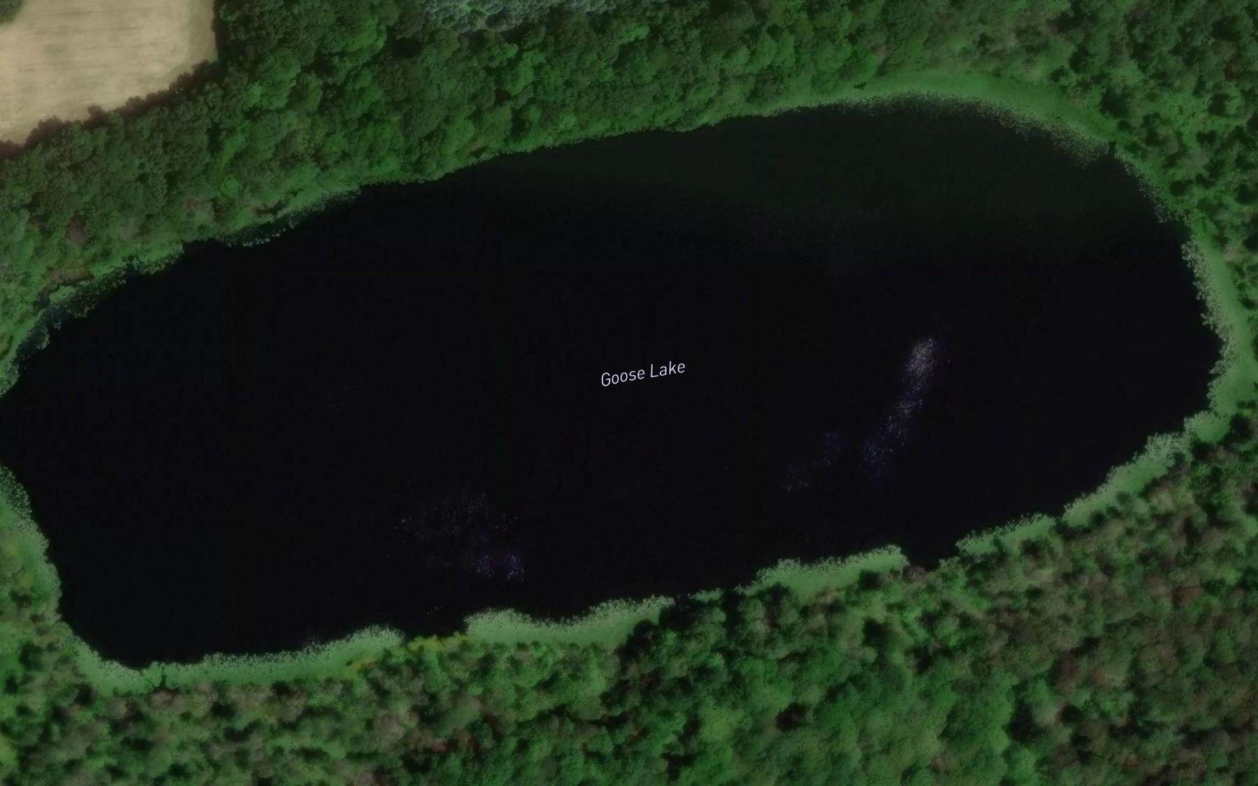Satellite map of the Goose Lake