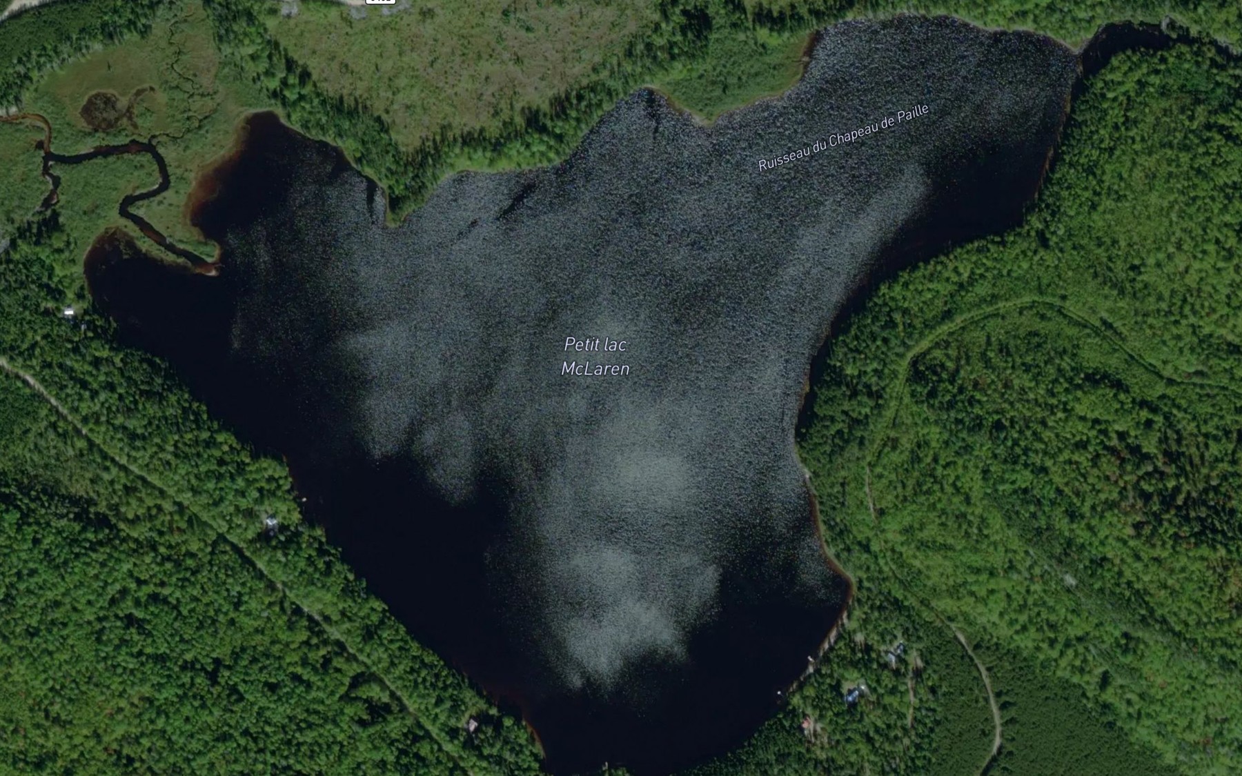 Satellite map of the Petit lac McLaren