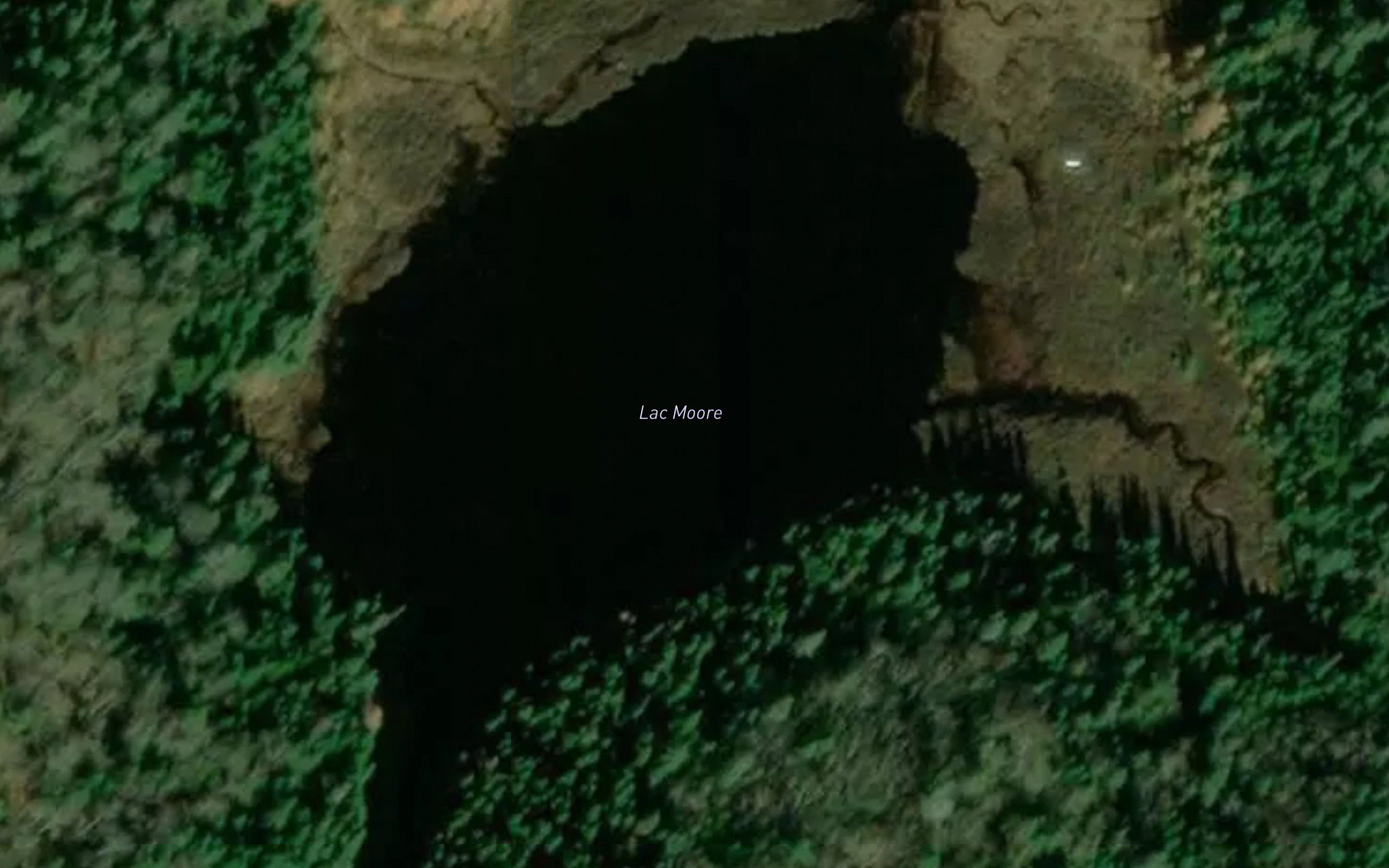 Lac Moore