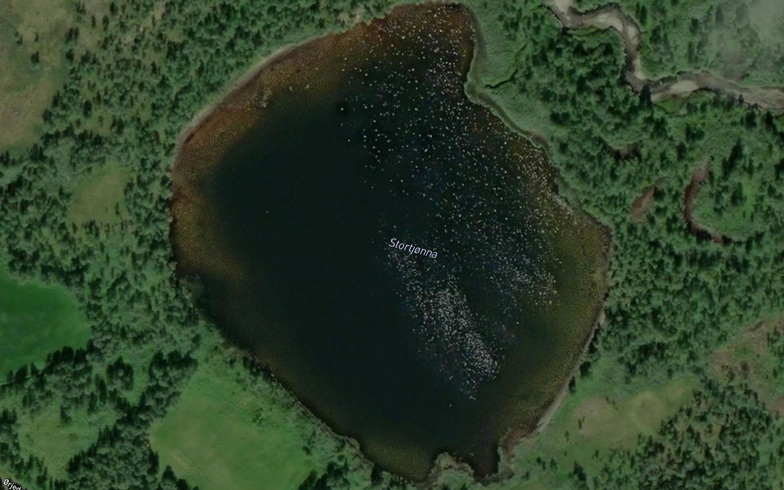 Stortjonna