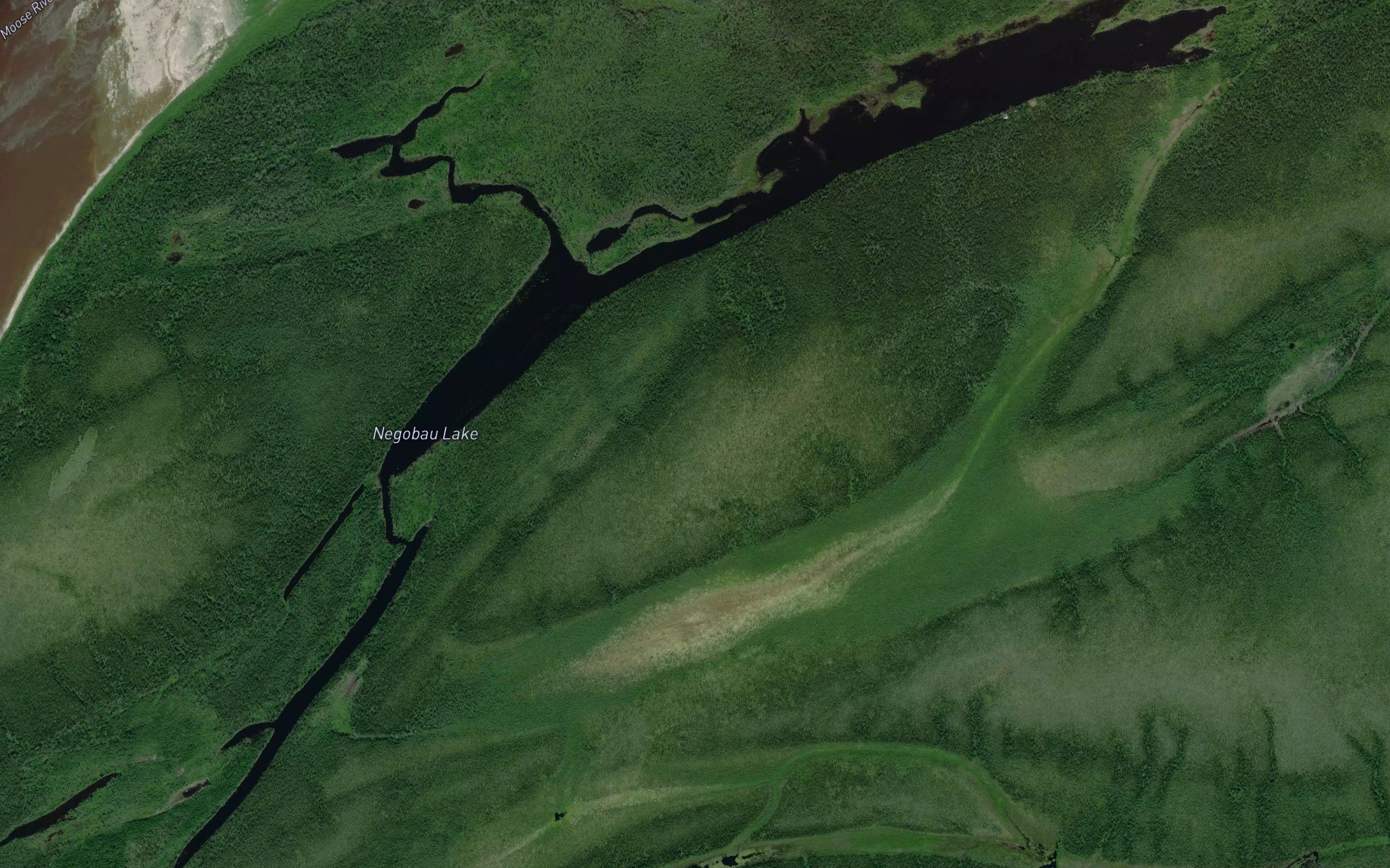 Negobau Lake