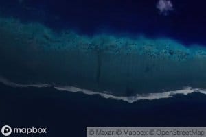 Solo Reef