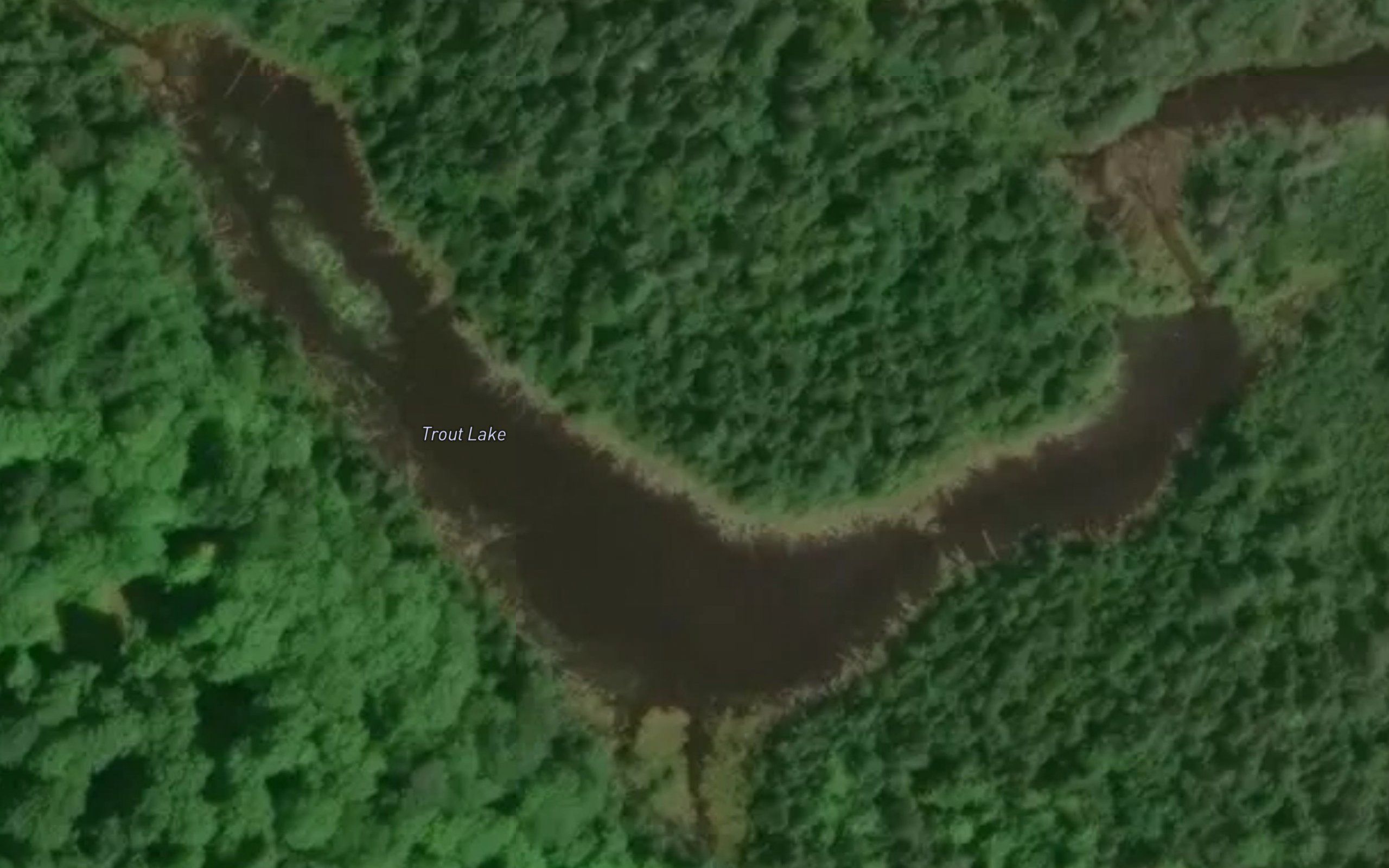 Trout Lake