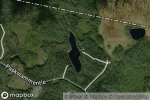 Paskolampi
