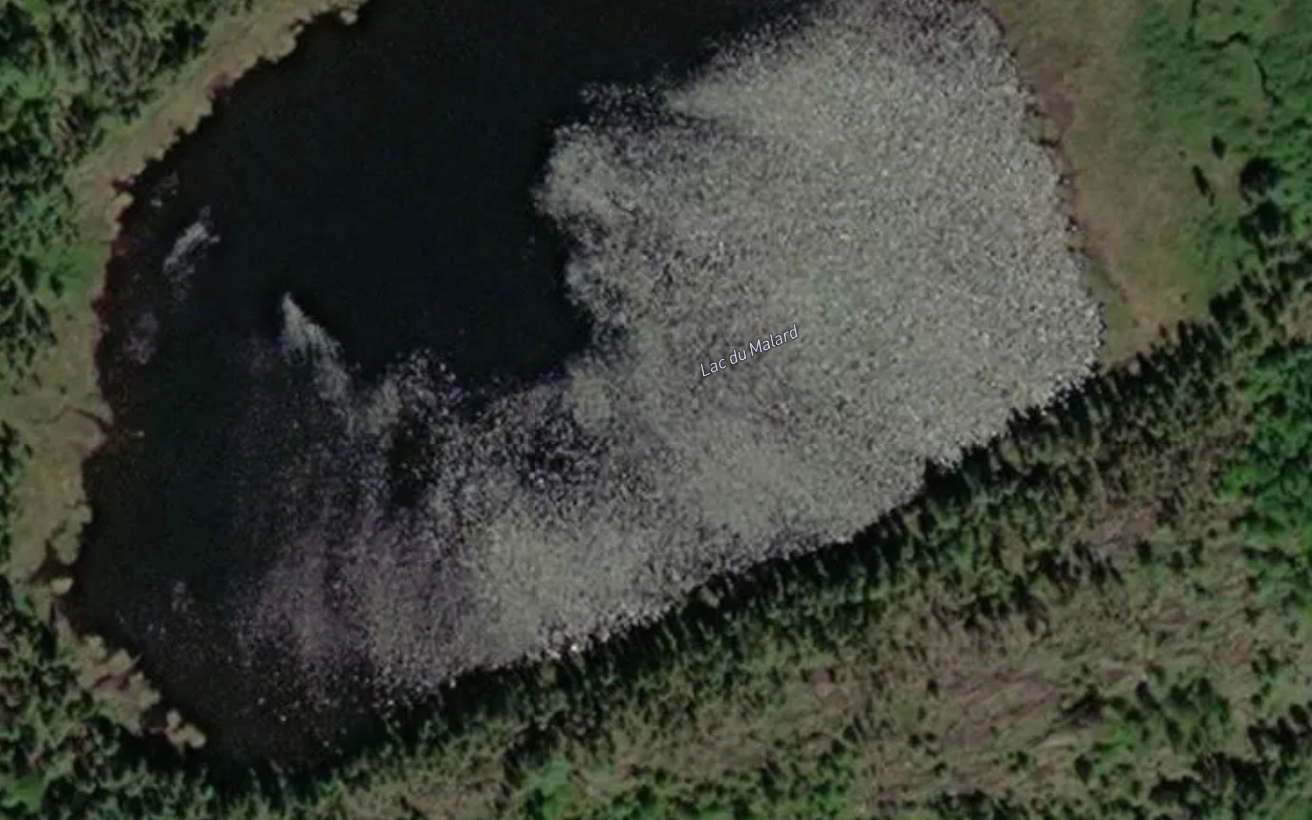 Lac du Malard