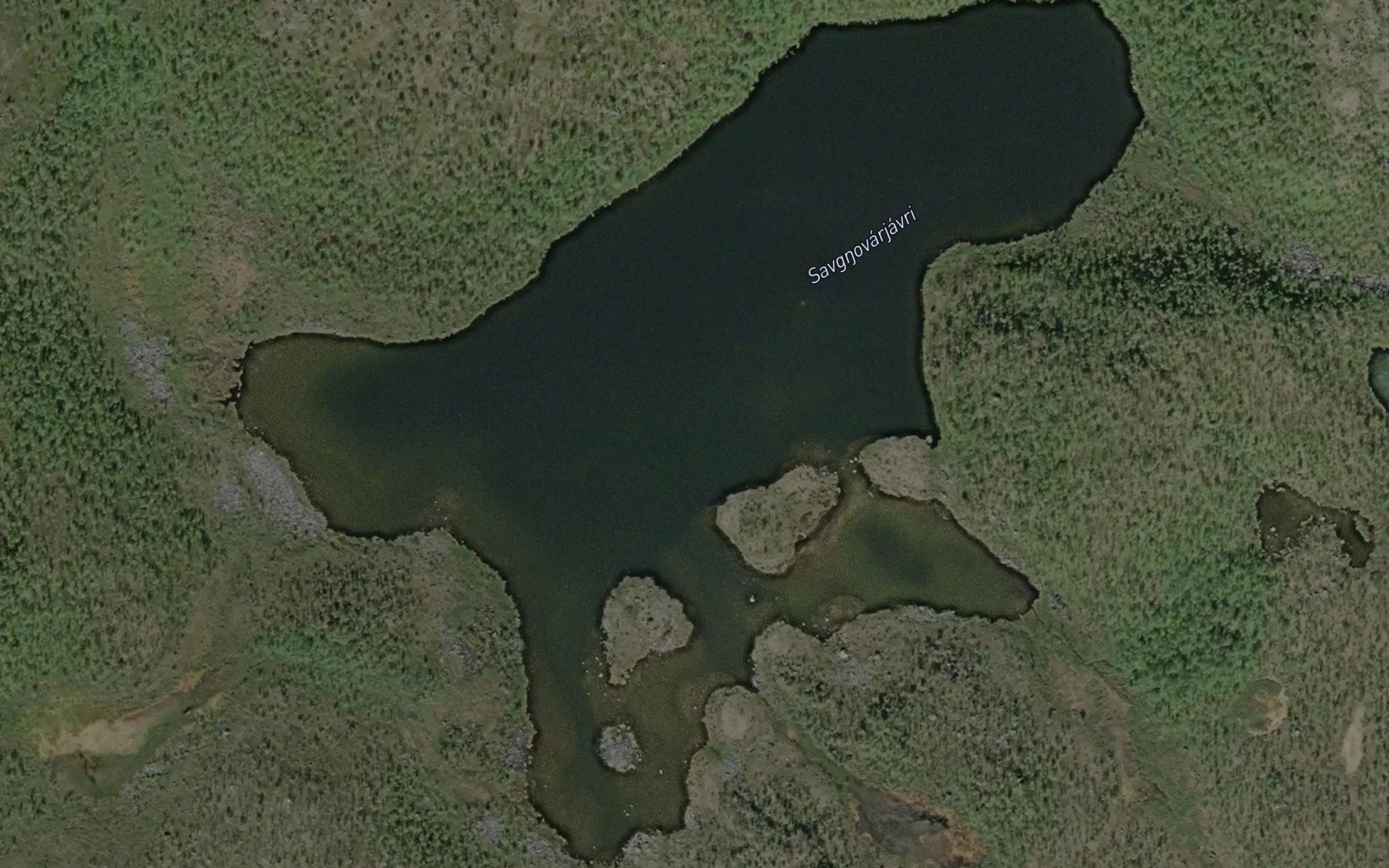 Satellite map of the Savgnuvarjavri
