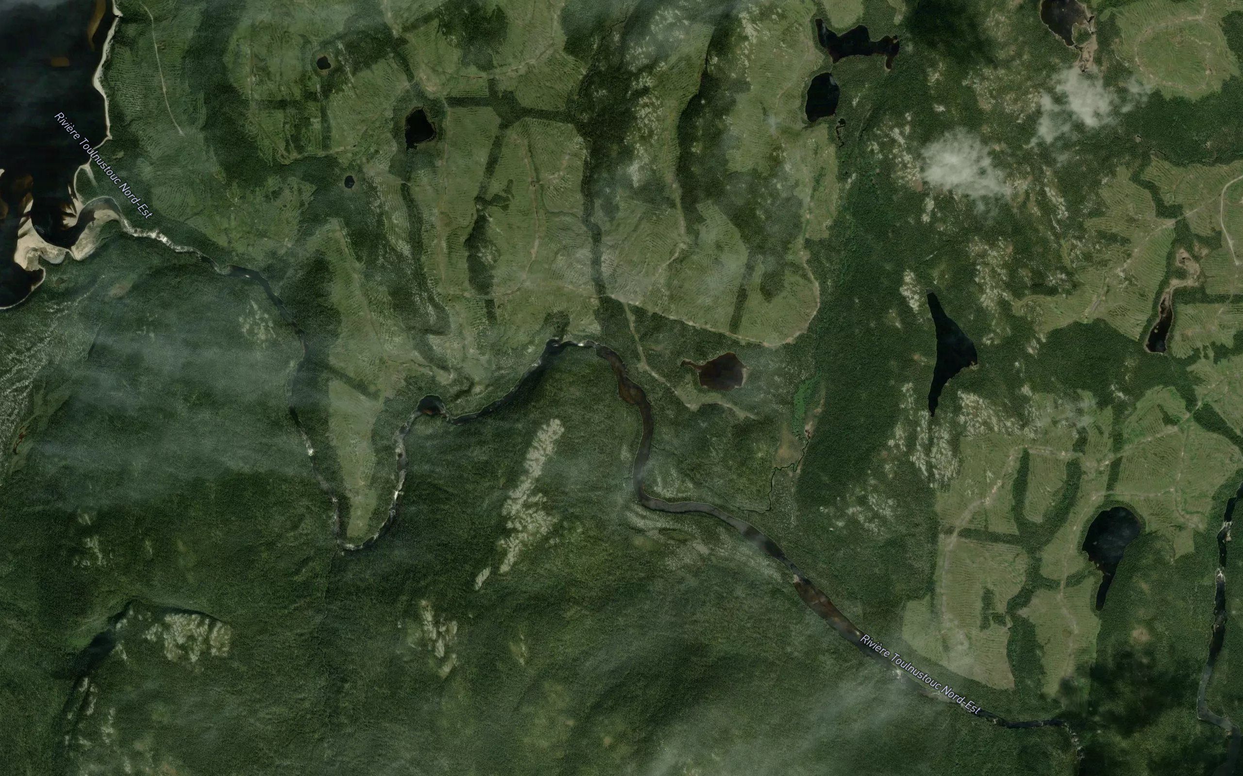 Ruisseau des Oiseaux d'Ete