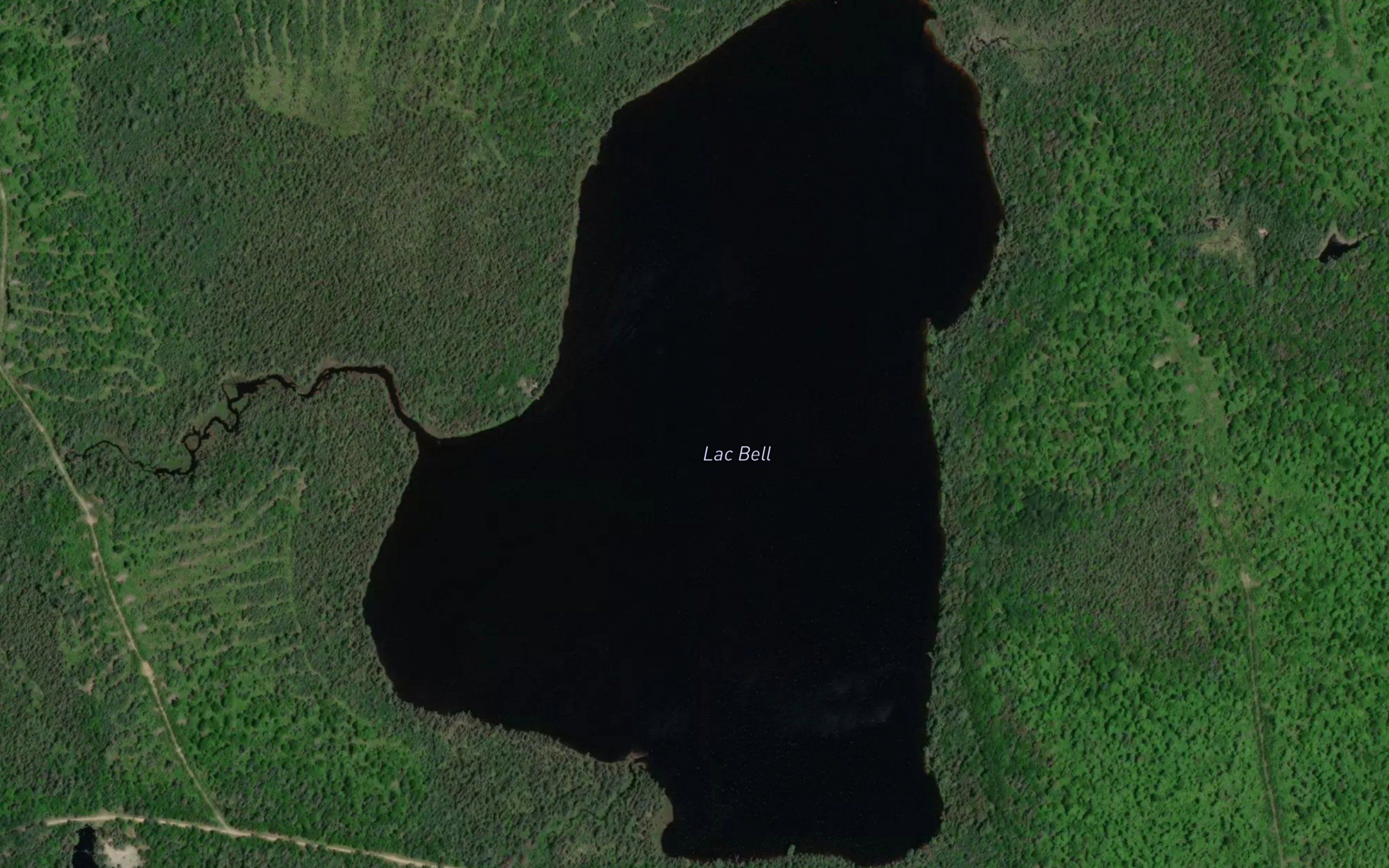 Lac Bell