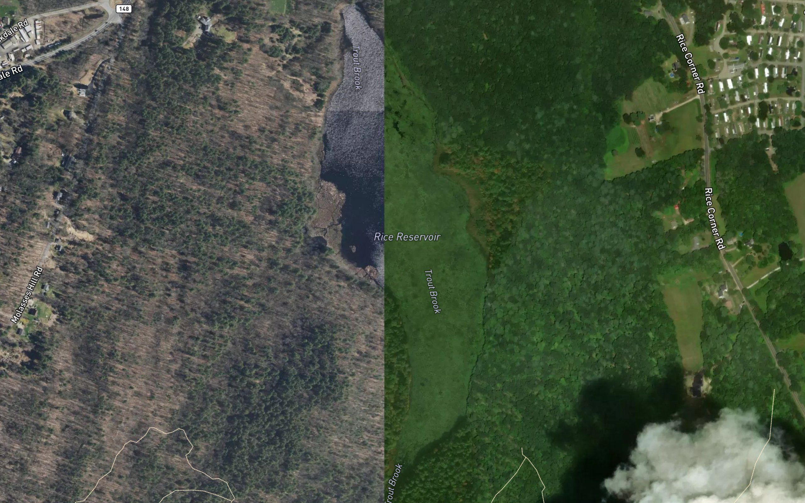 Rice Reservoir