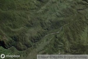 Saint Patrick Stream