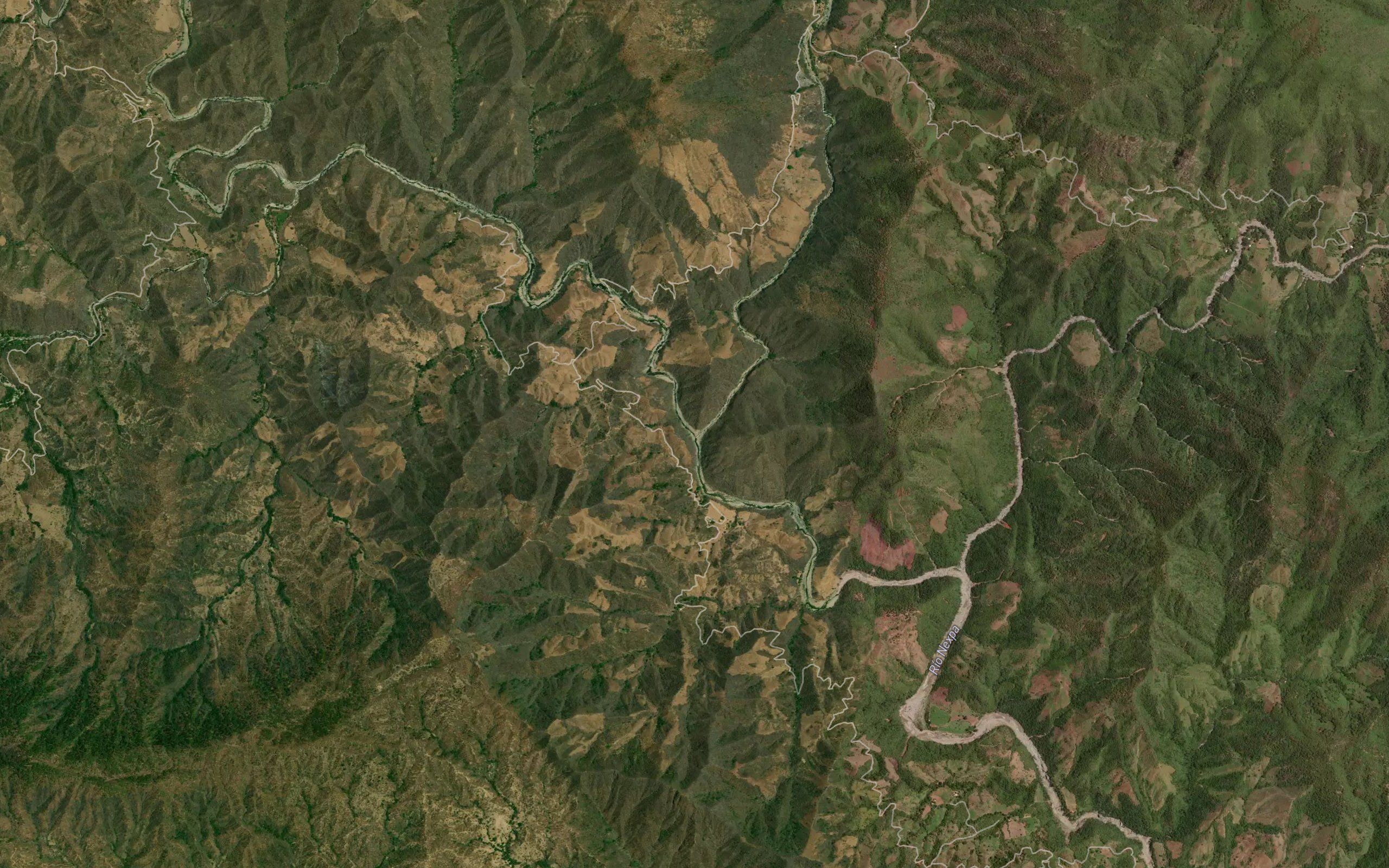 Chapula