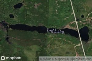 Ted Lake