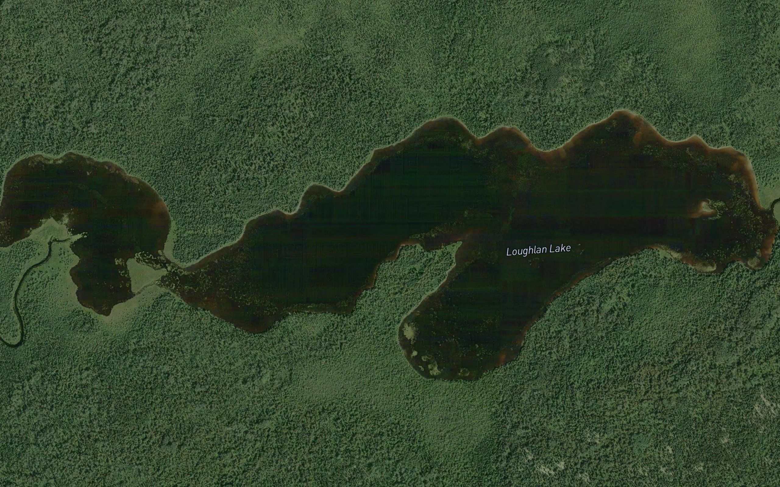 Loughlan Lake