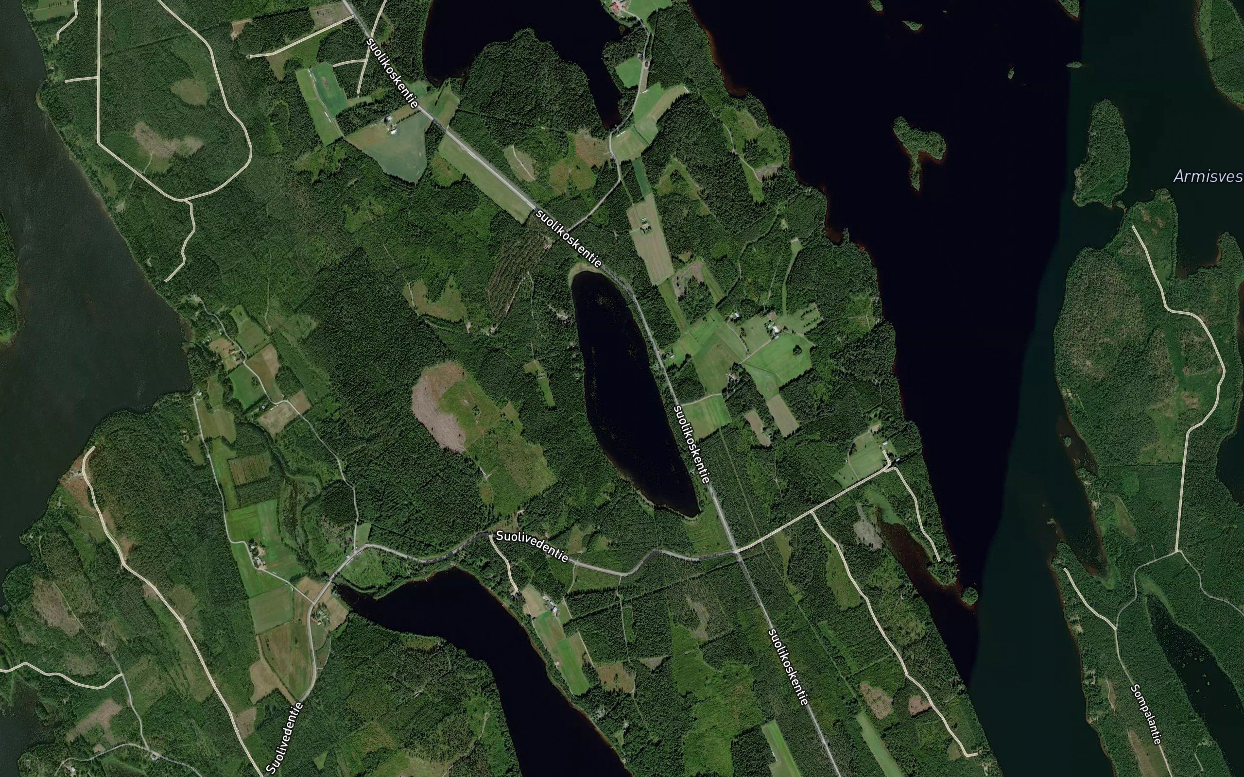 Kortelampi