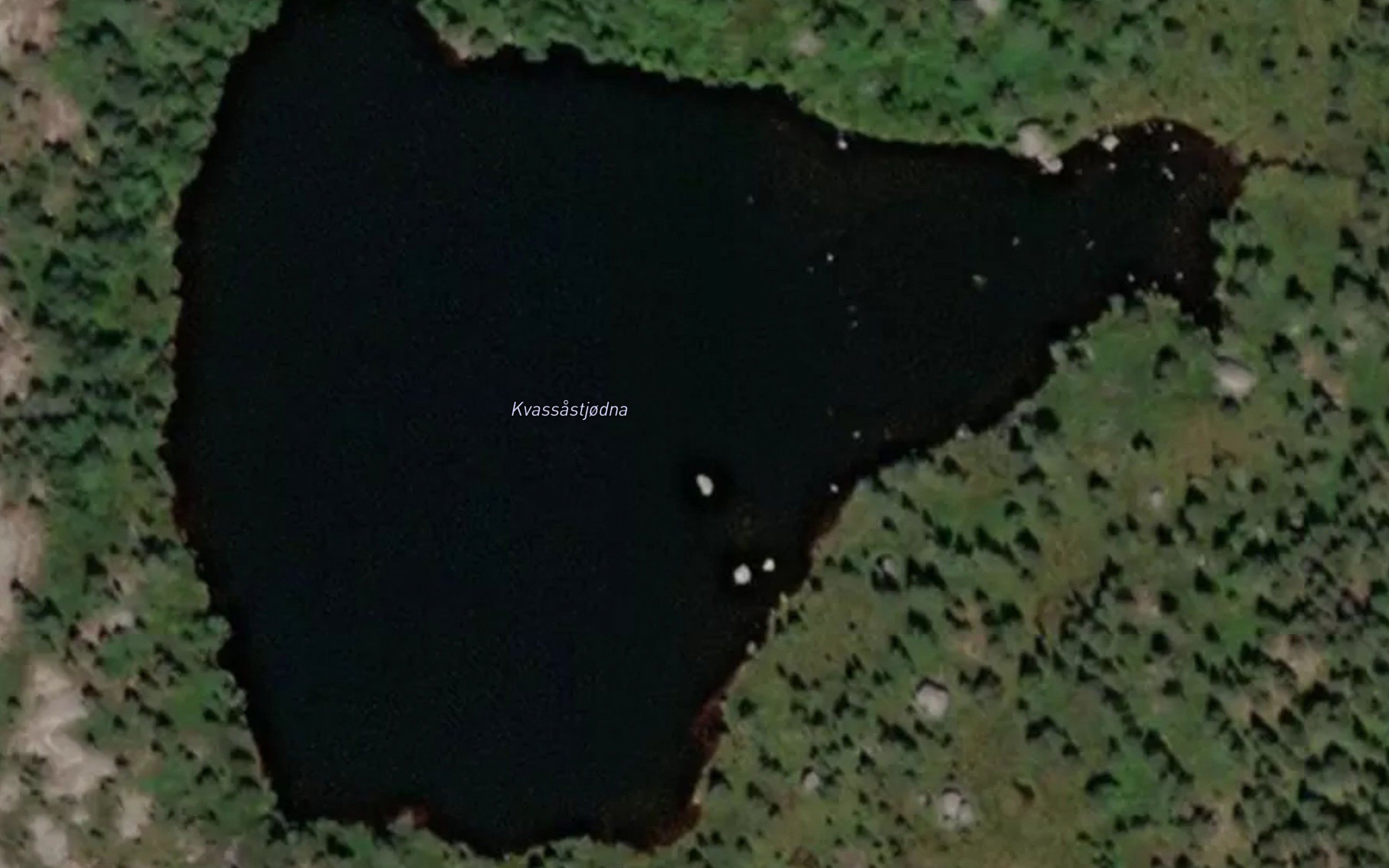 Kvassastjodna