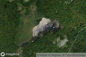 Mud Pond