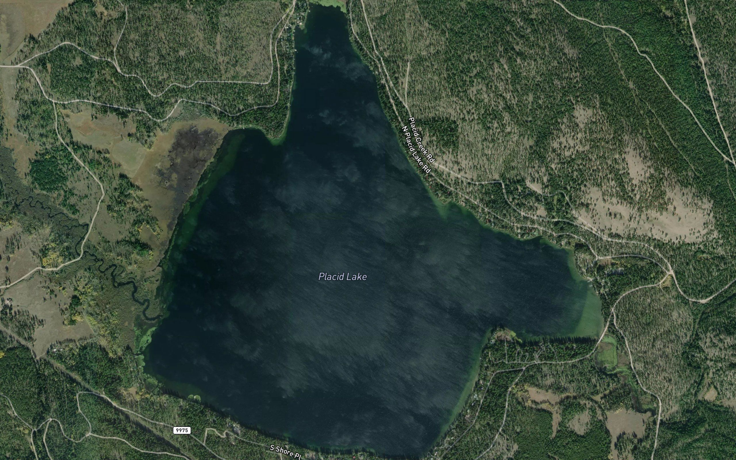 Placid Lake