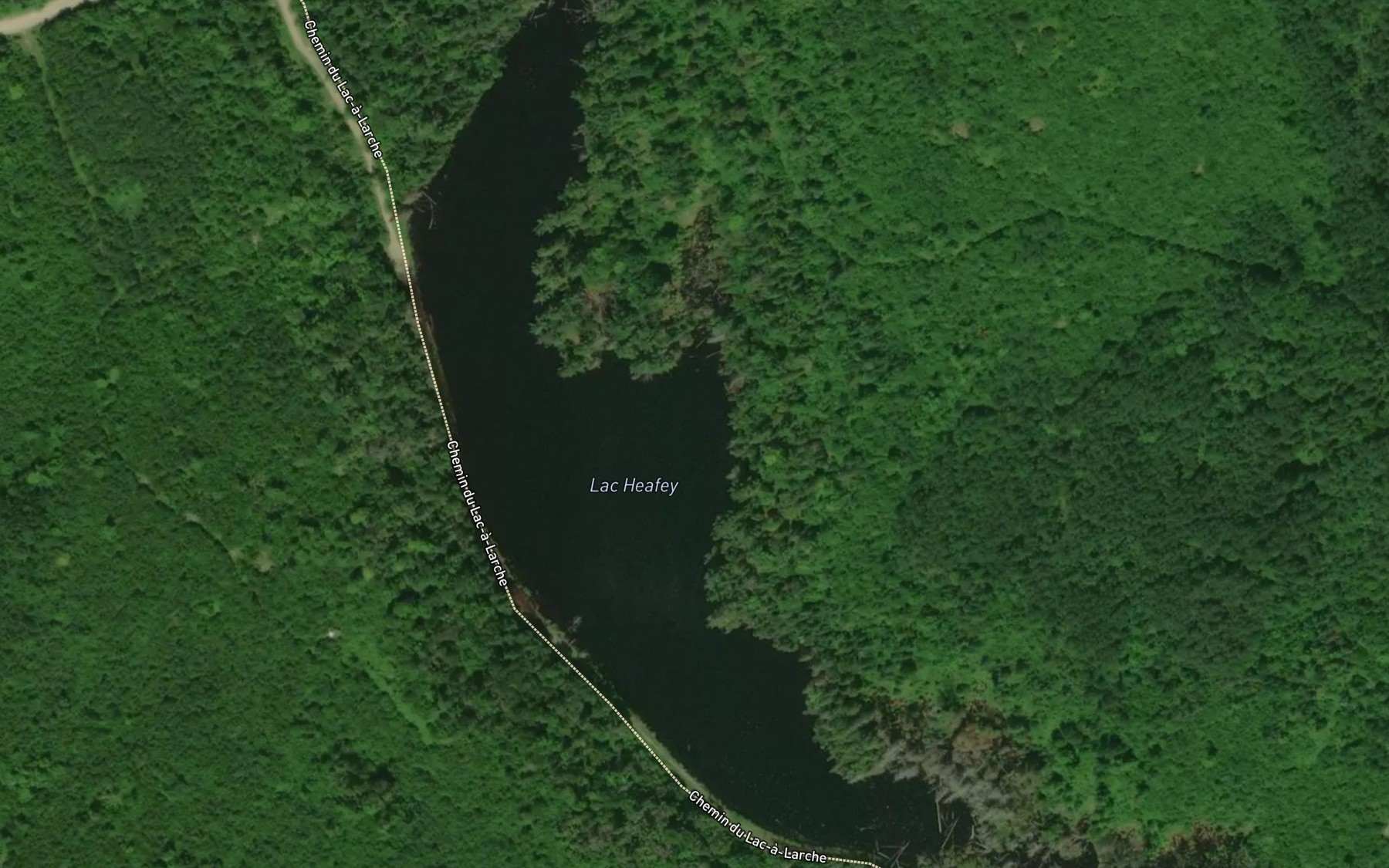 Satellite map of the Lac Heafey