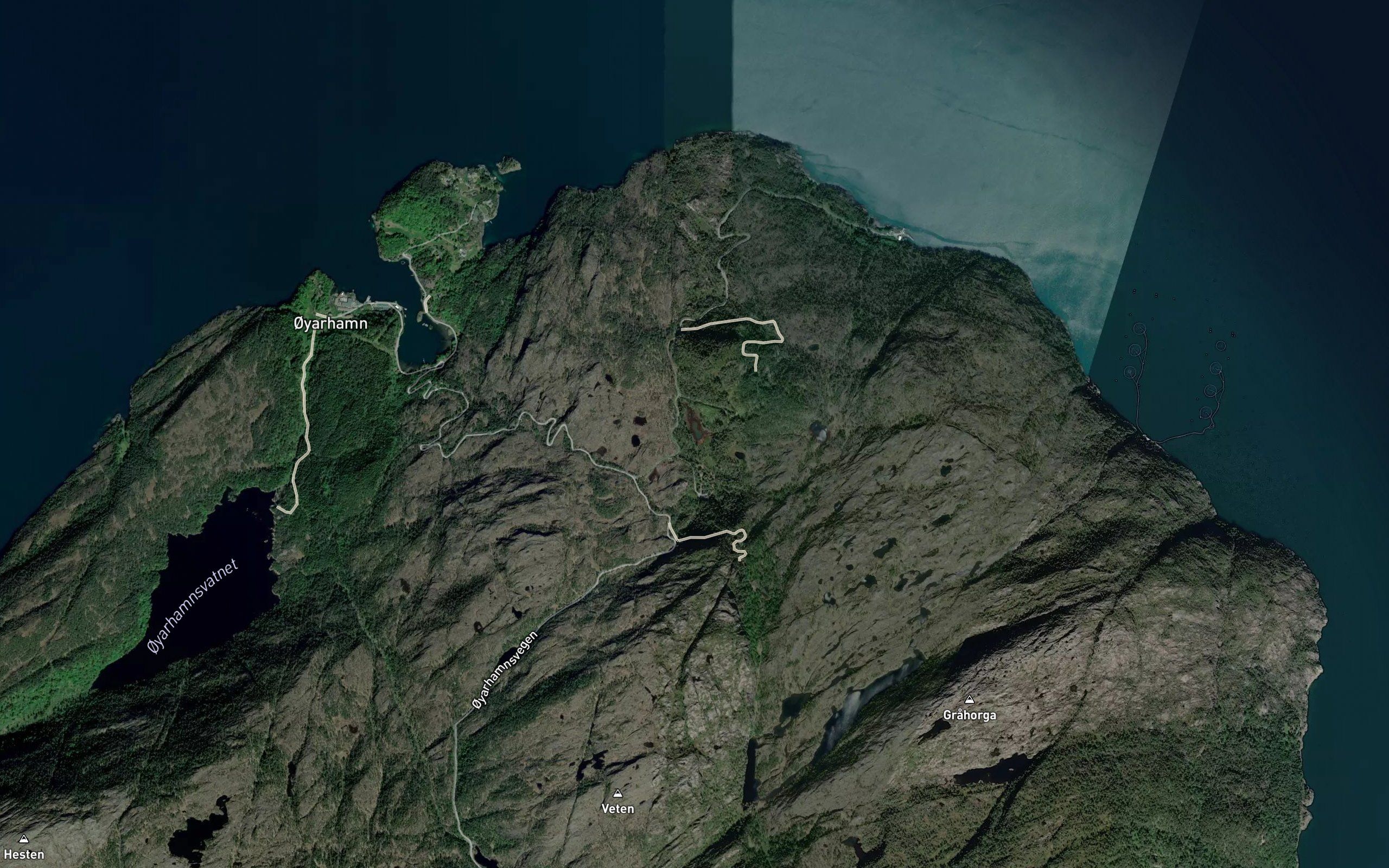 Vadtjorn