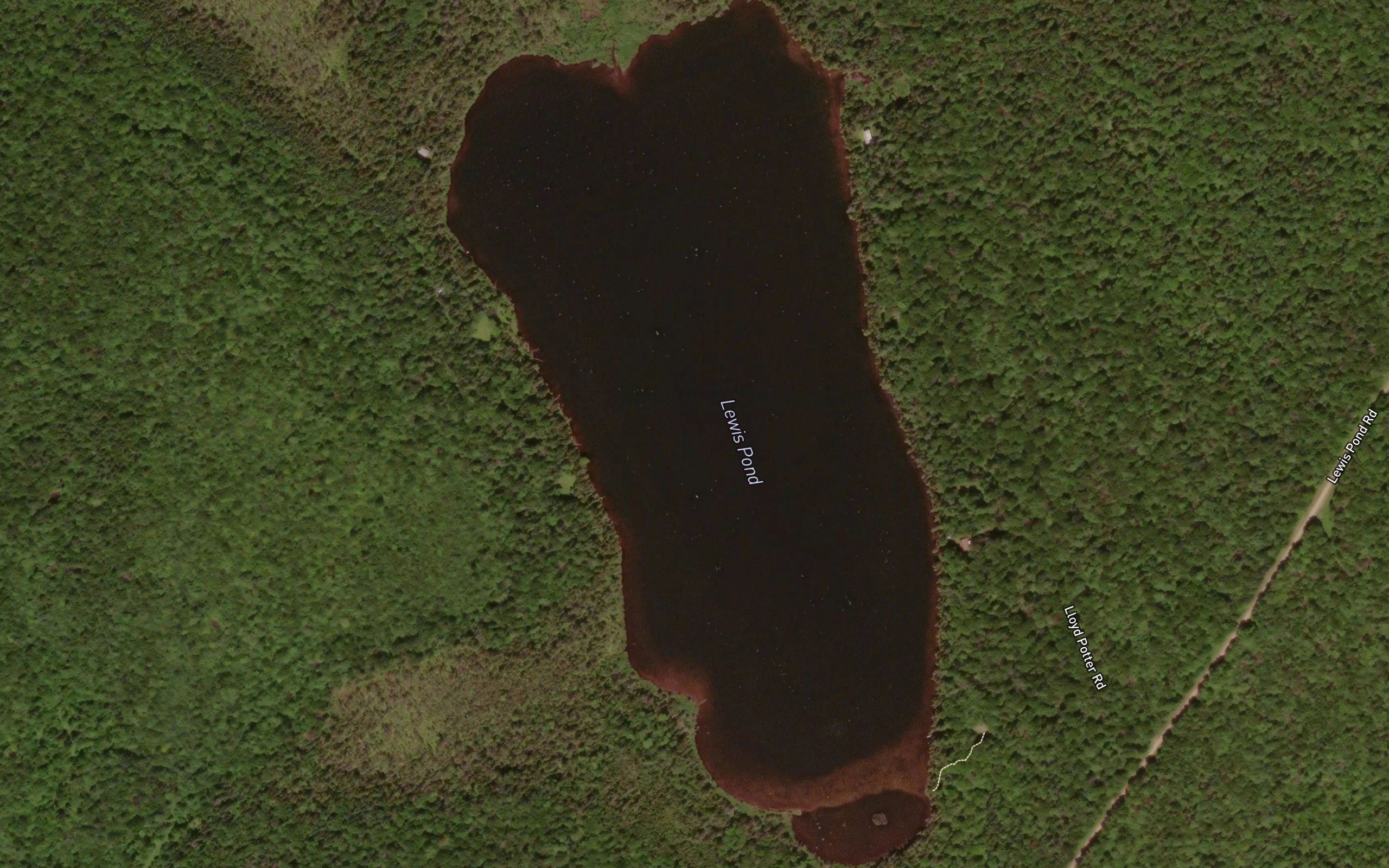Lewis Pond