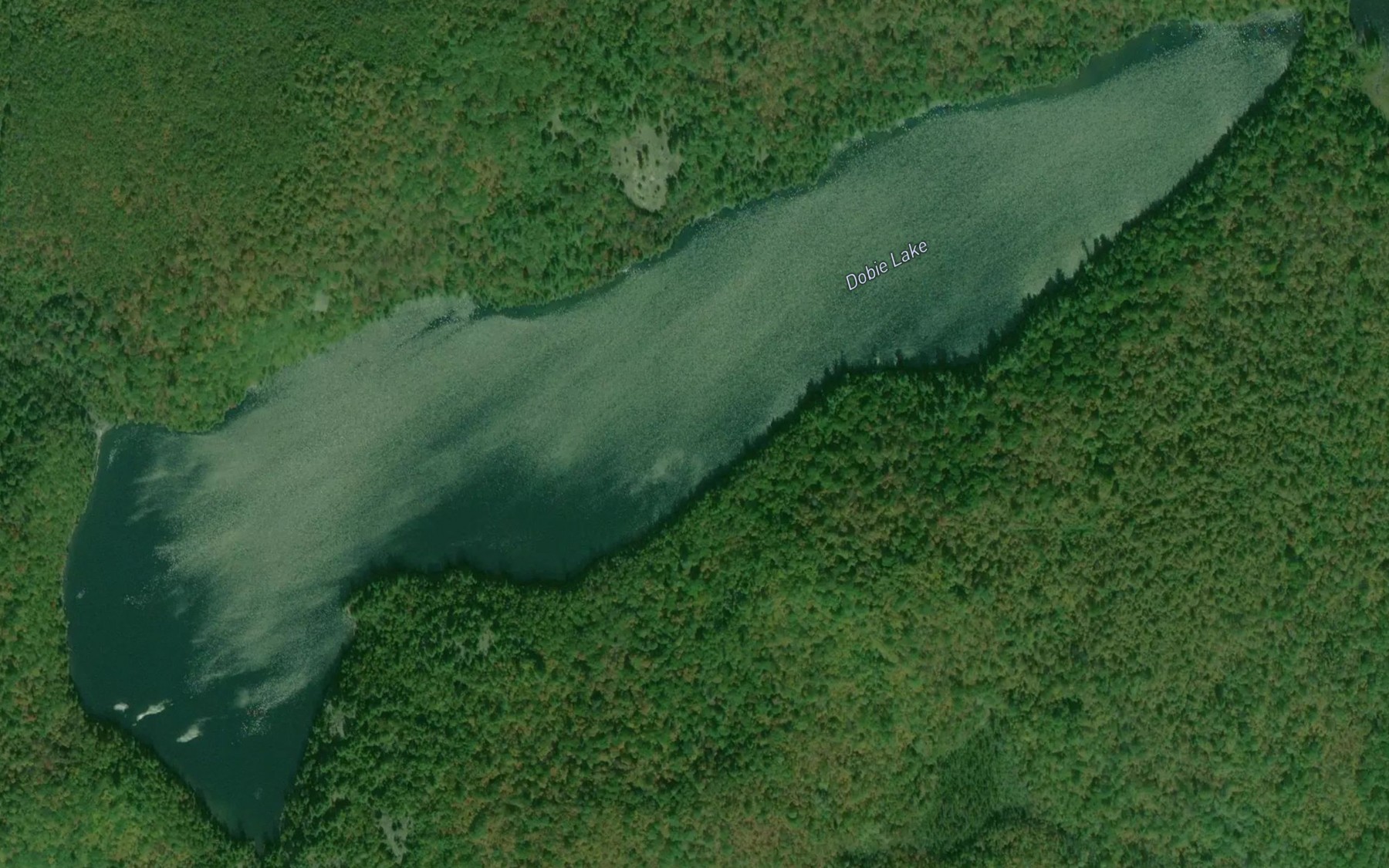 Satellite map of the Dobie Lake