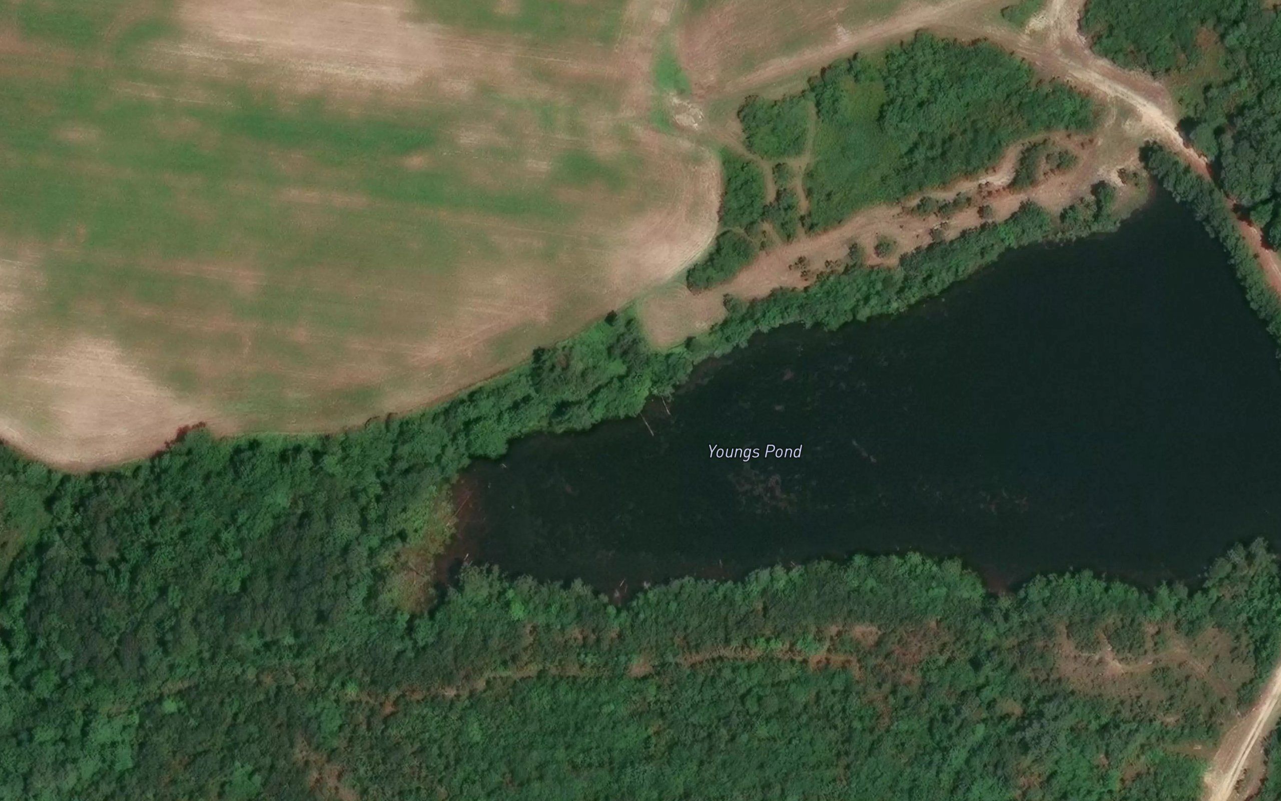 Youngs Pond