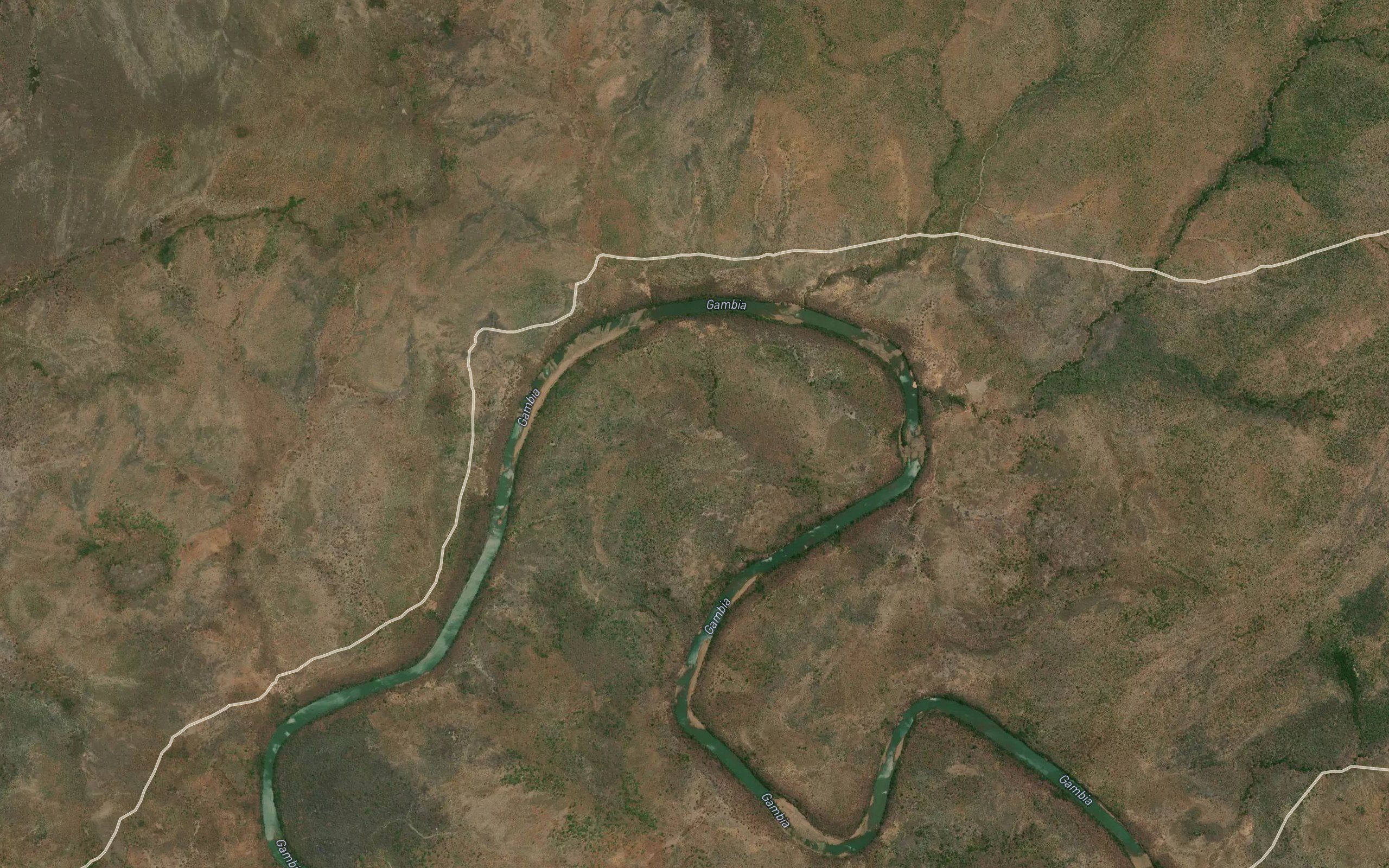 Mongole