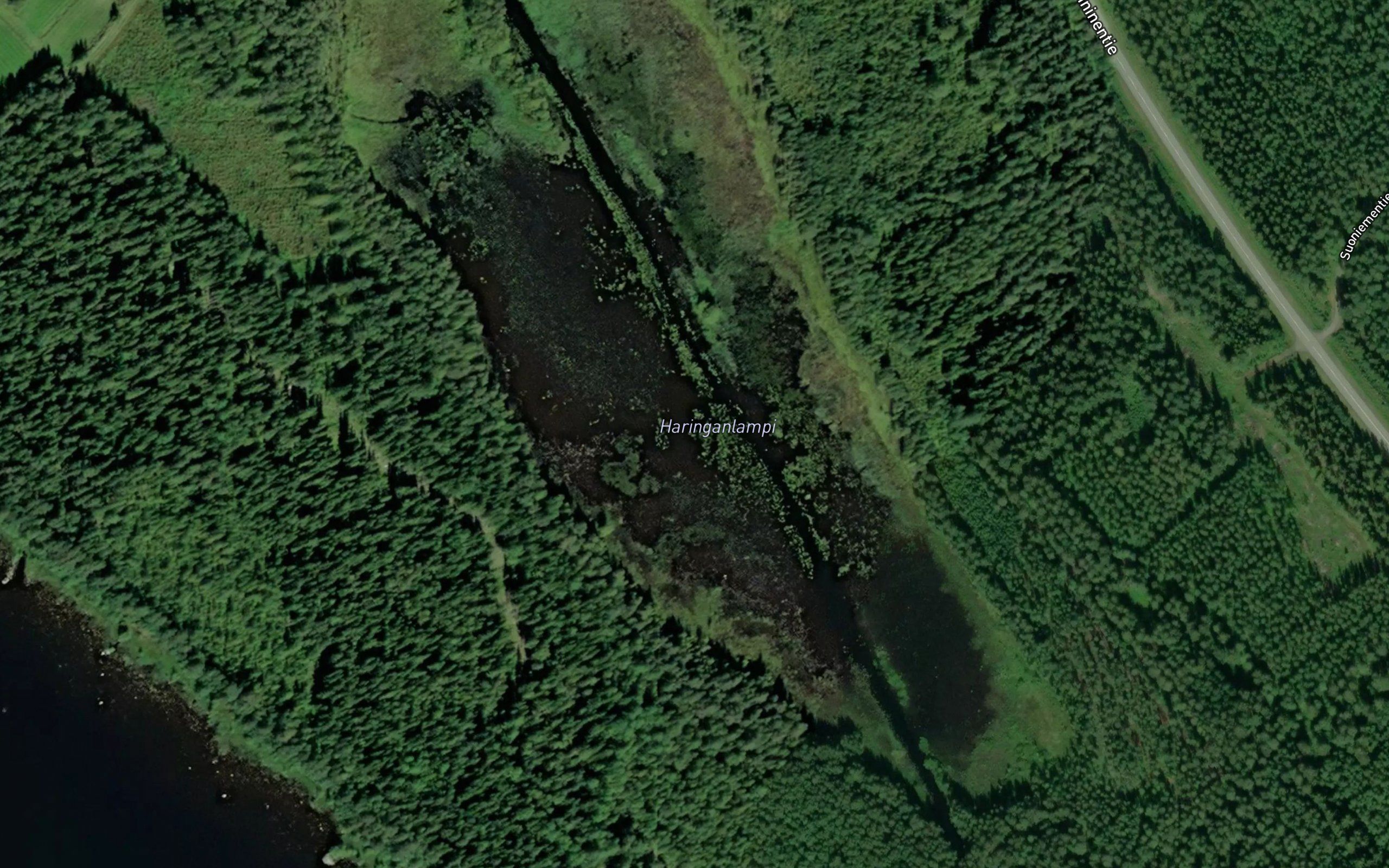 Haringanlampi