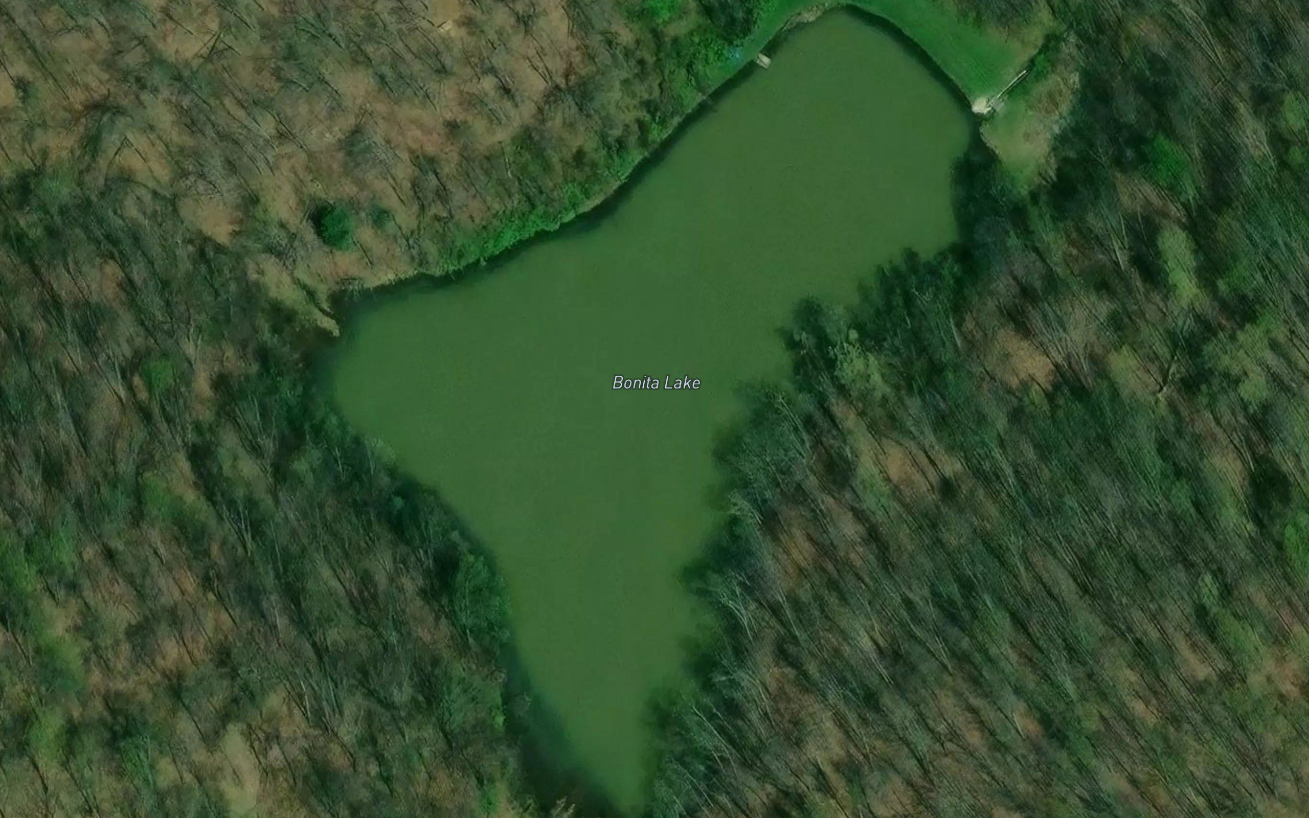 Bonita Lake