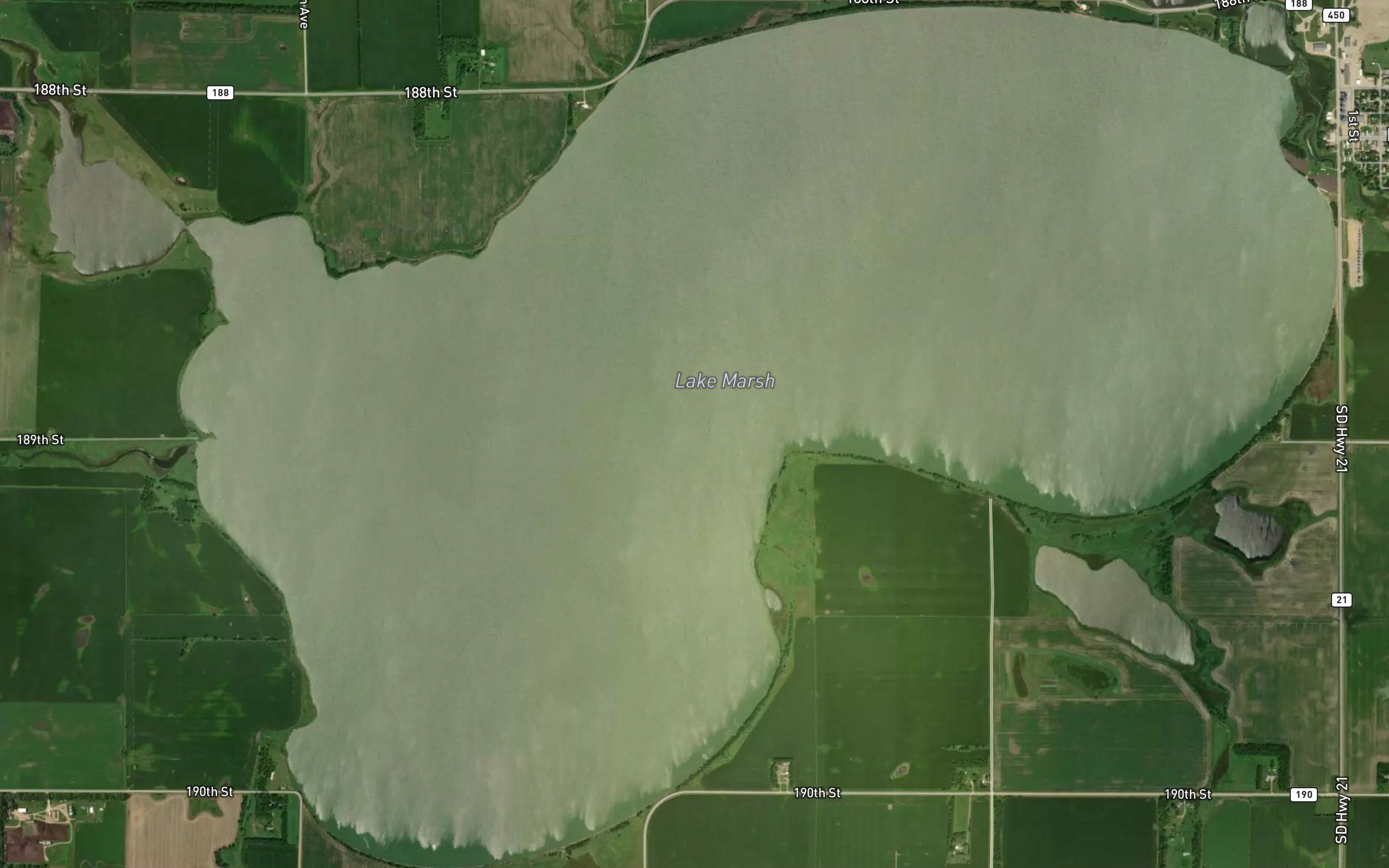 Lake Marsh
