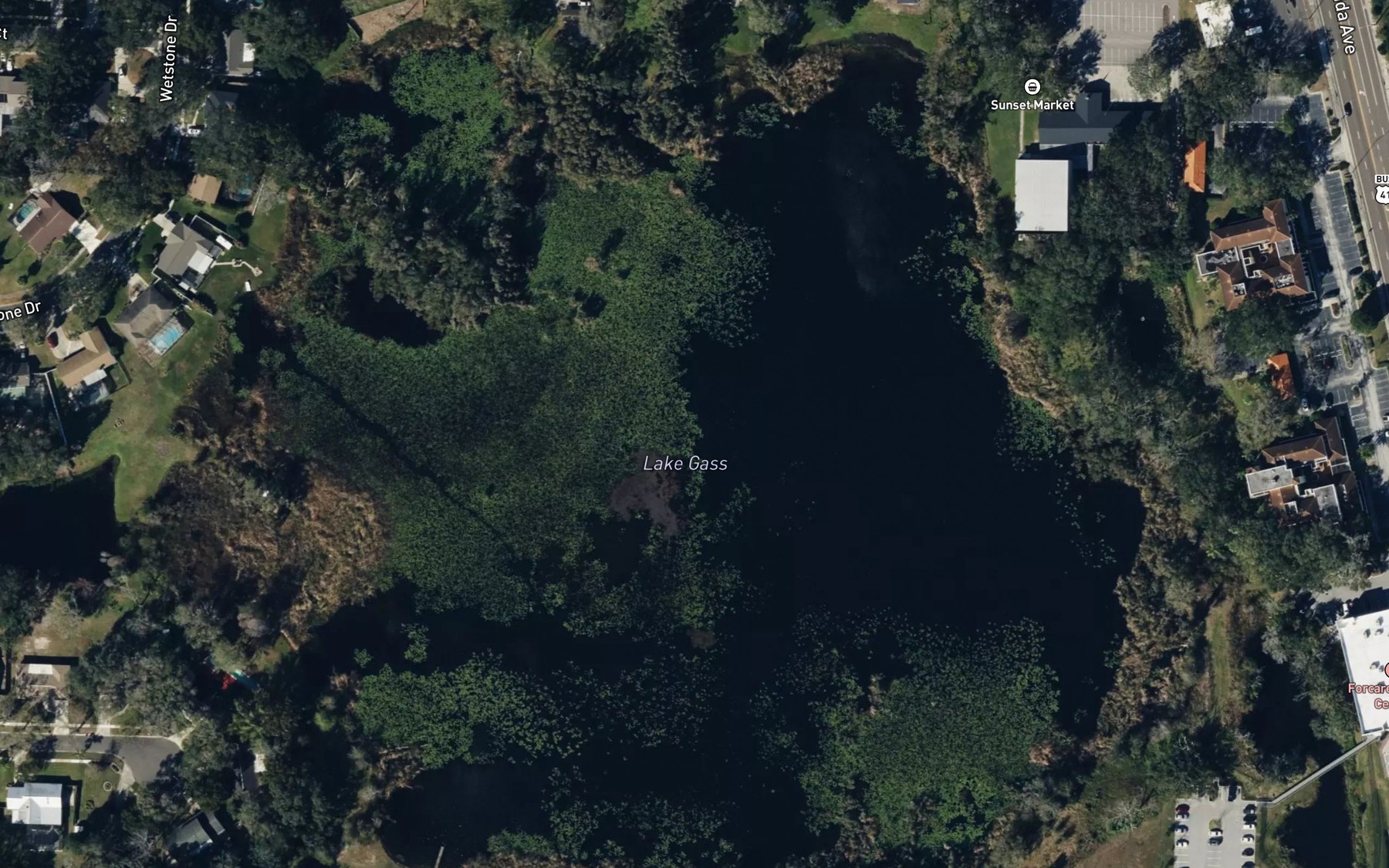 Satellite map of the Lake Gass