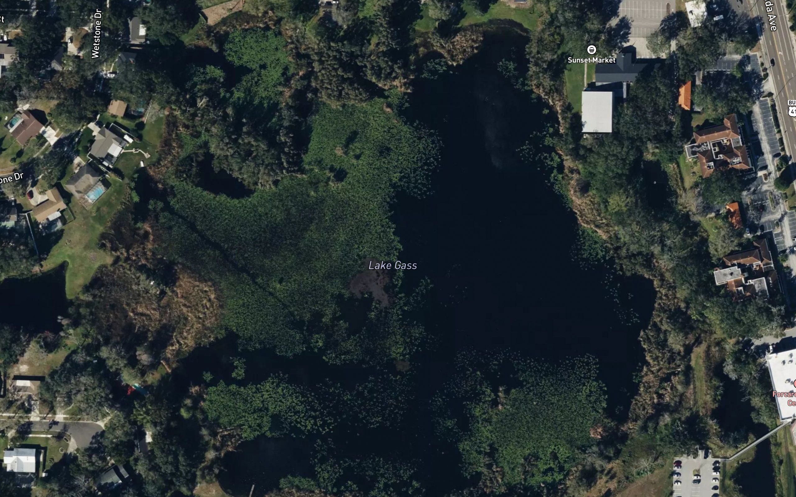 Lake Gass